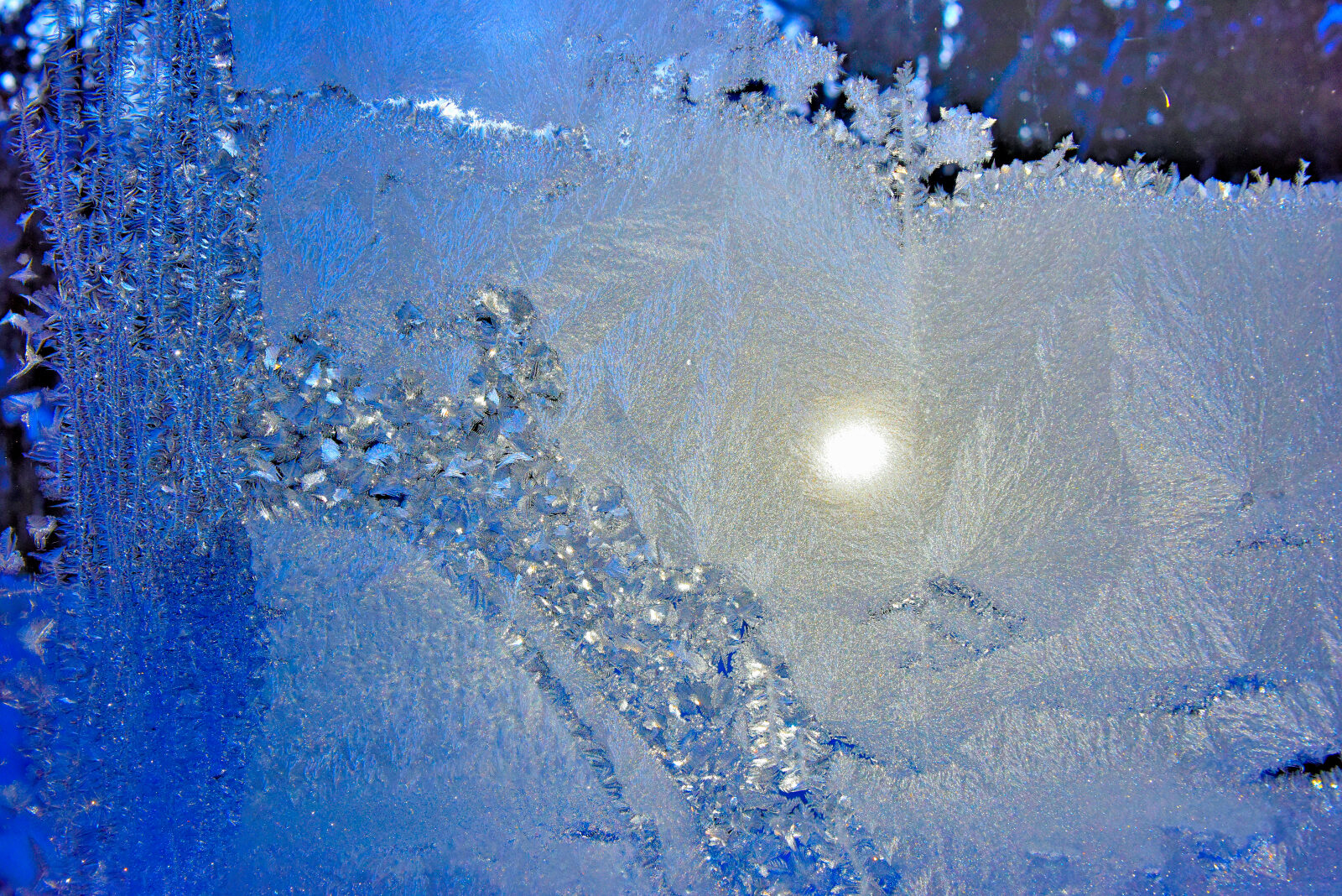 Valokuvaaja: Reijo Juurinen