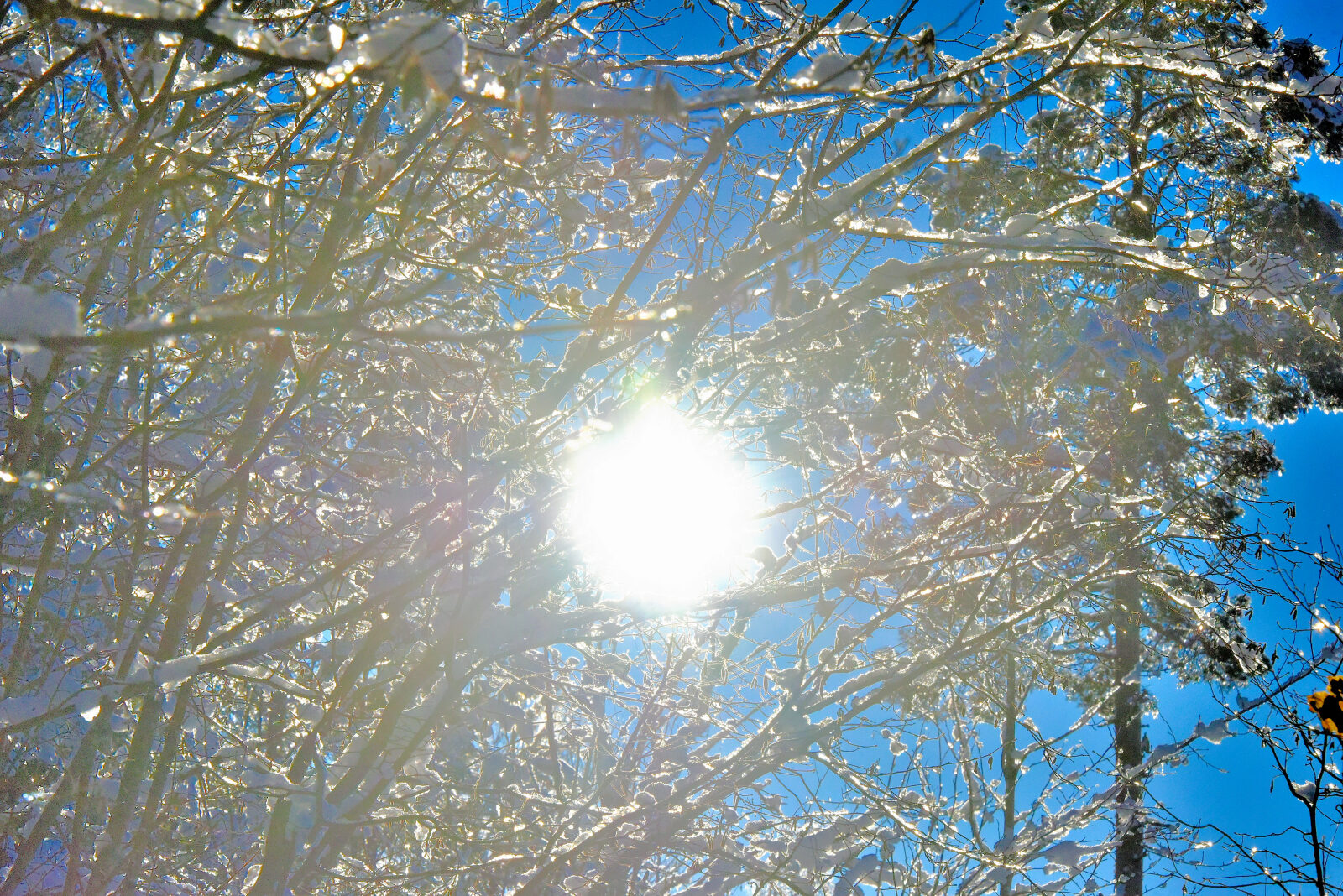 Valokuvaaja: Reijo Juurinen