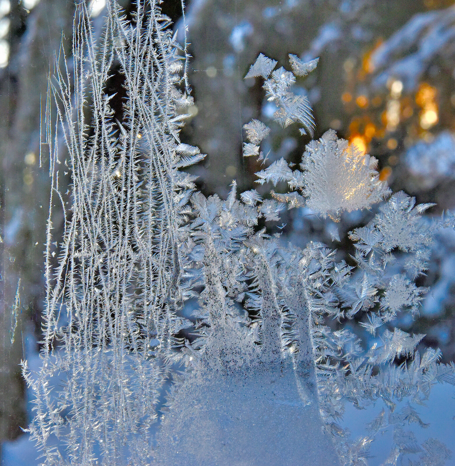 Valokuvaaja: Reijo Juurinen