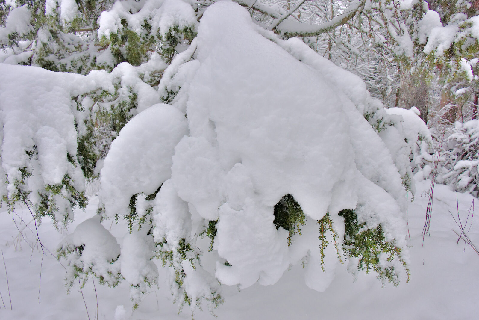 Valokuvaaja: Reijo Juurinen