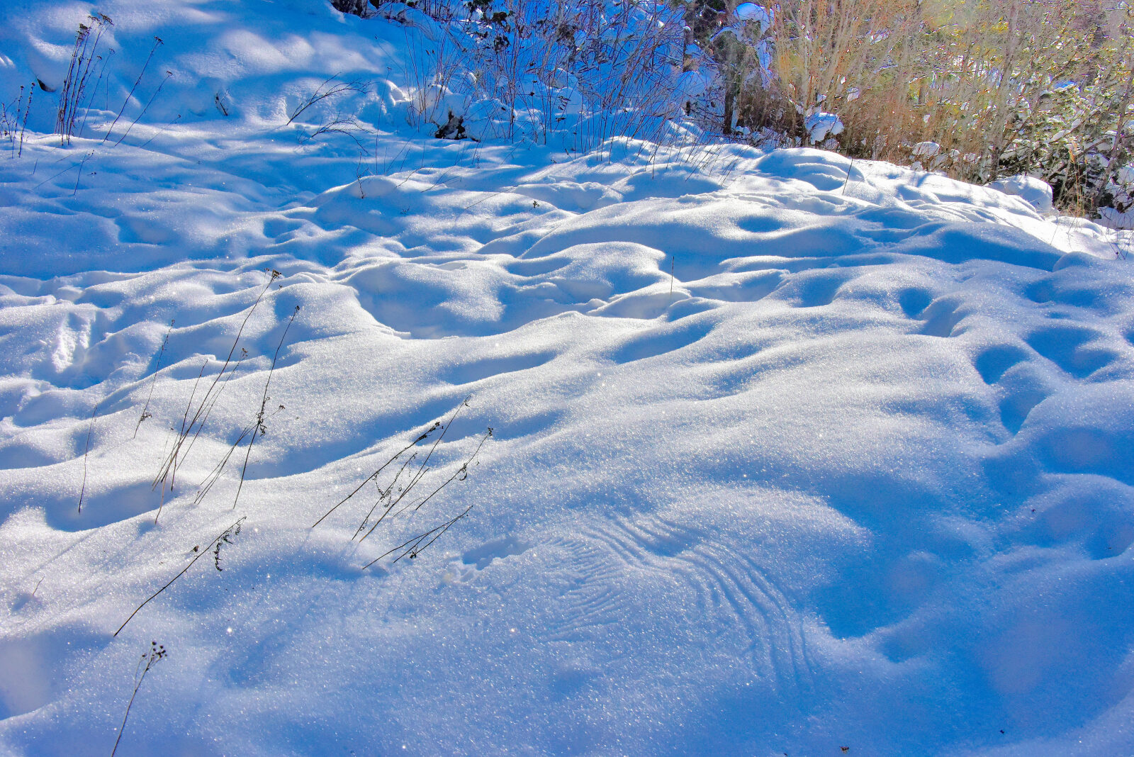 Valokuvaaja: Reijo Juurinen