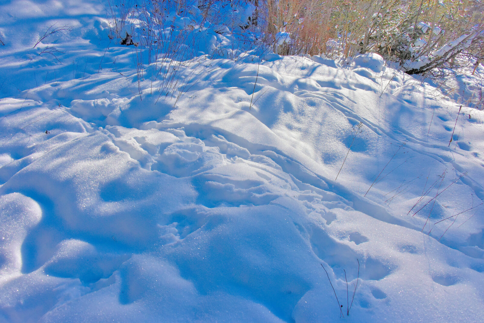 Valokuvaaja: Reijo Juurinen