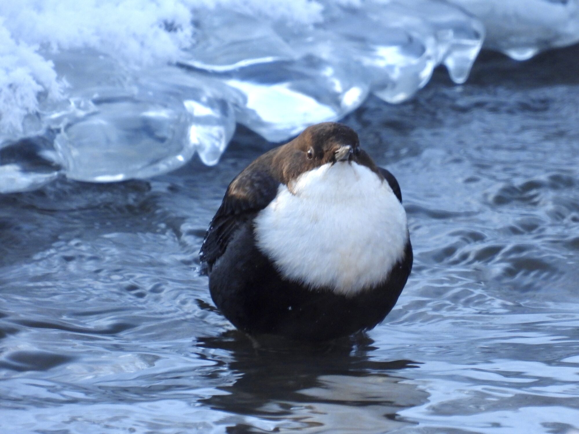 Valokuvaaja: Juhani Peltonen