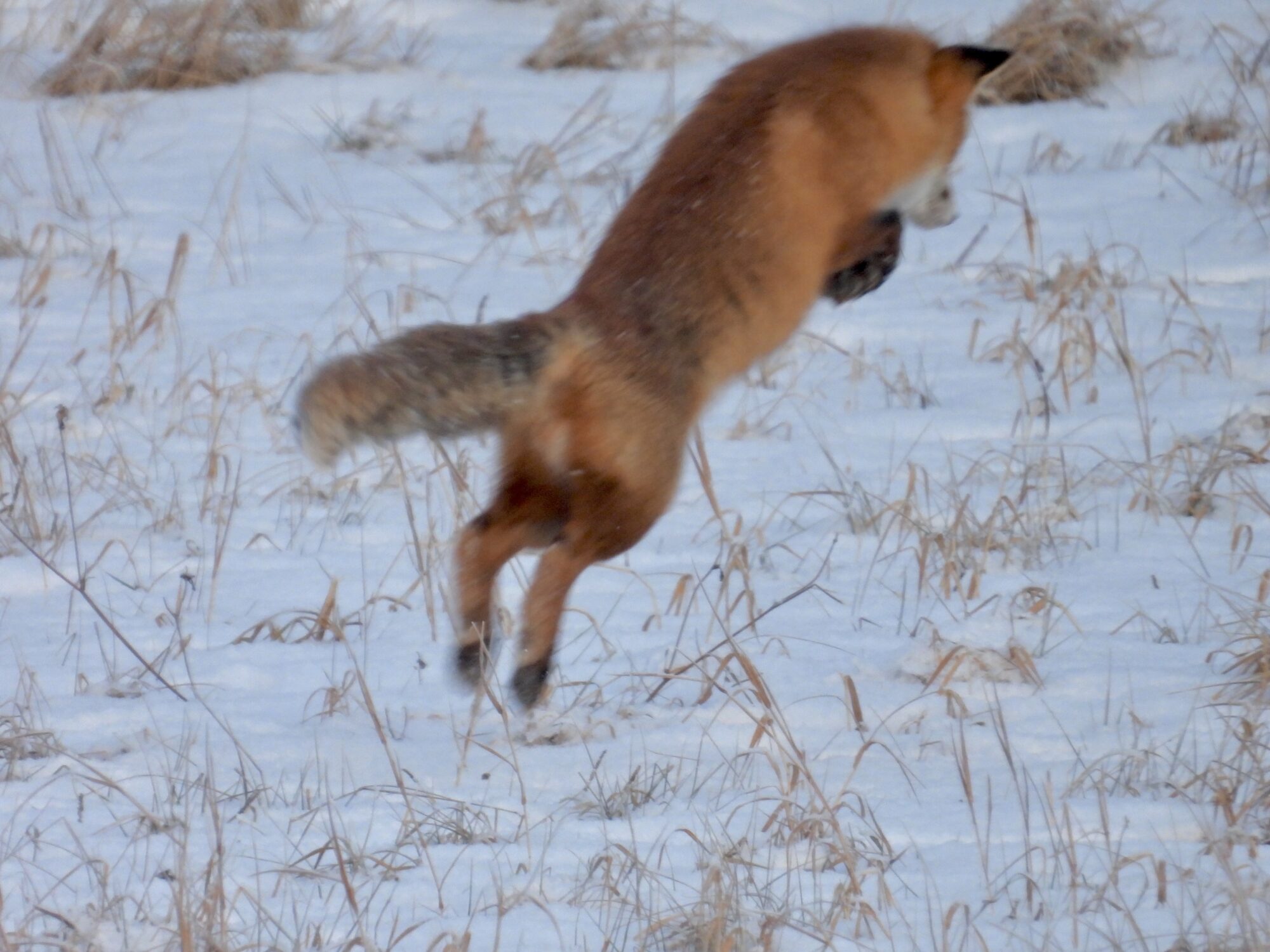 Valokuvaaja: Juhani Peltonen