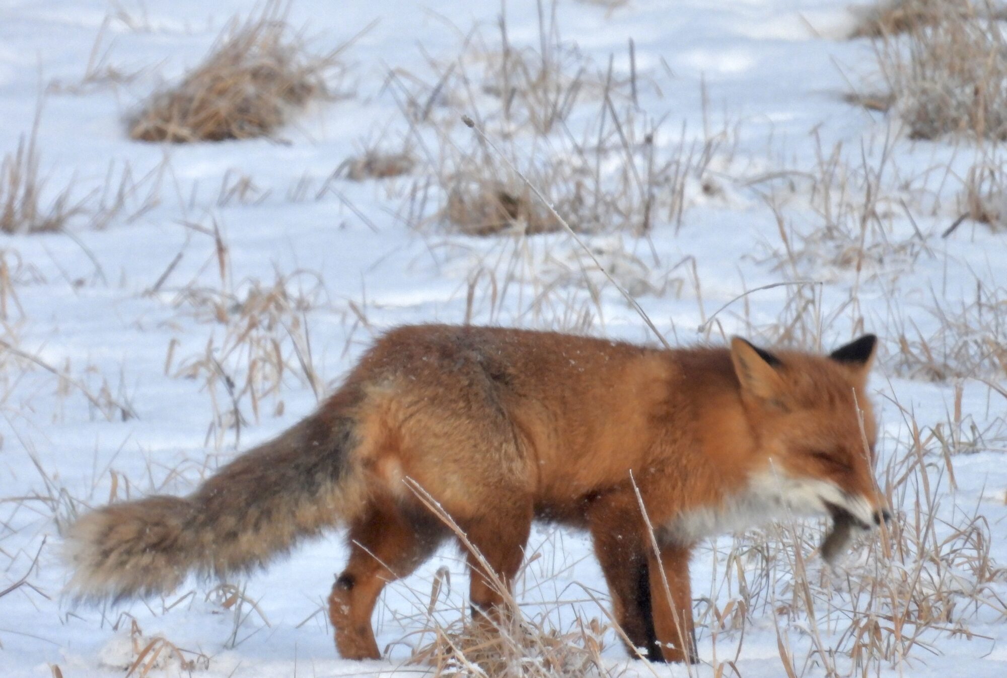 Valokuvaaja: Juhani Peltonen