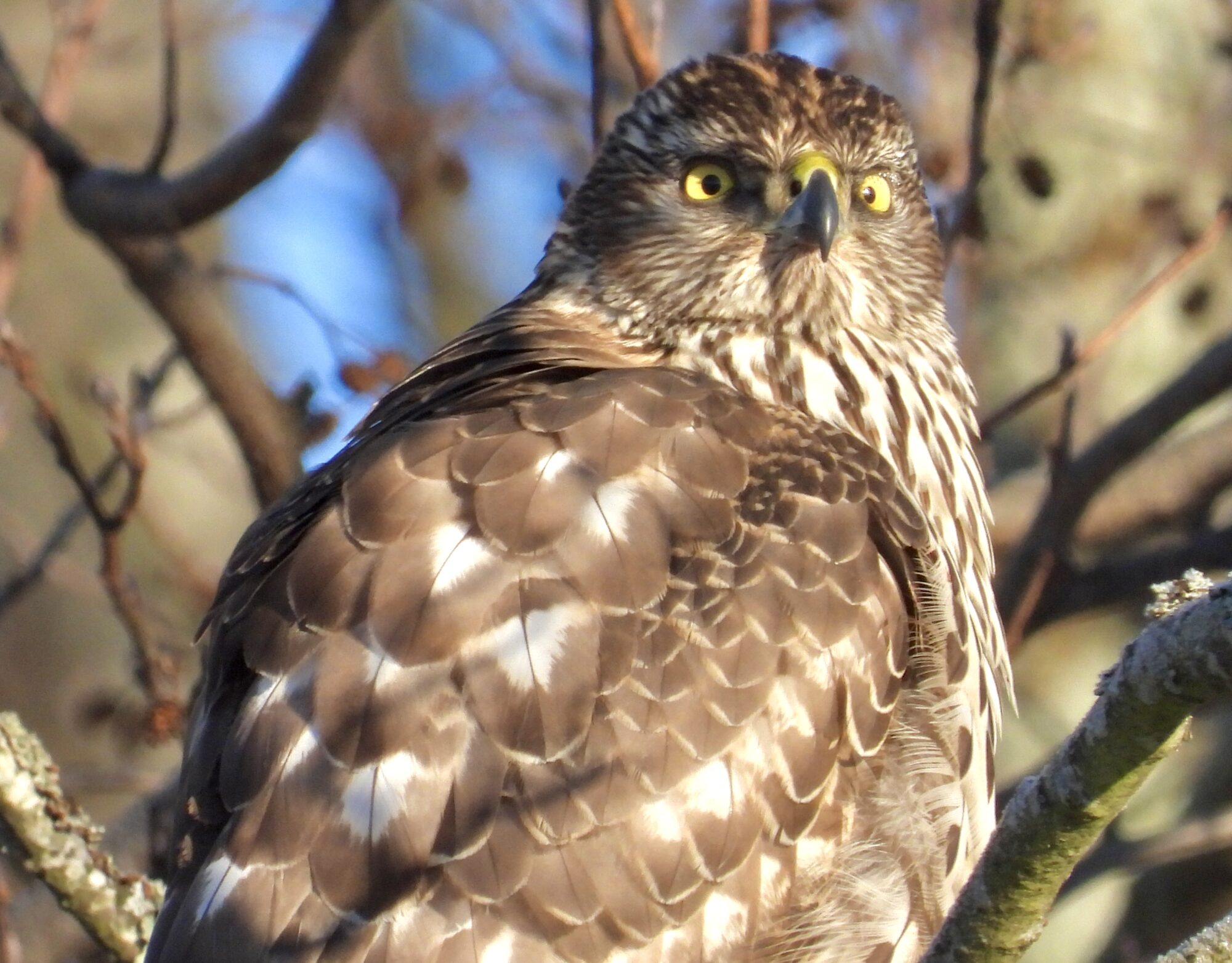 Valokuvaaja: Juhani Peltonen