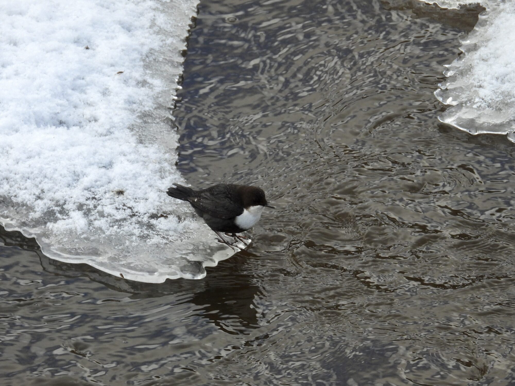Valokuvaaja: Juhani Peltonen