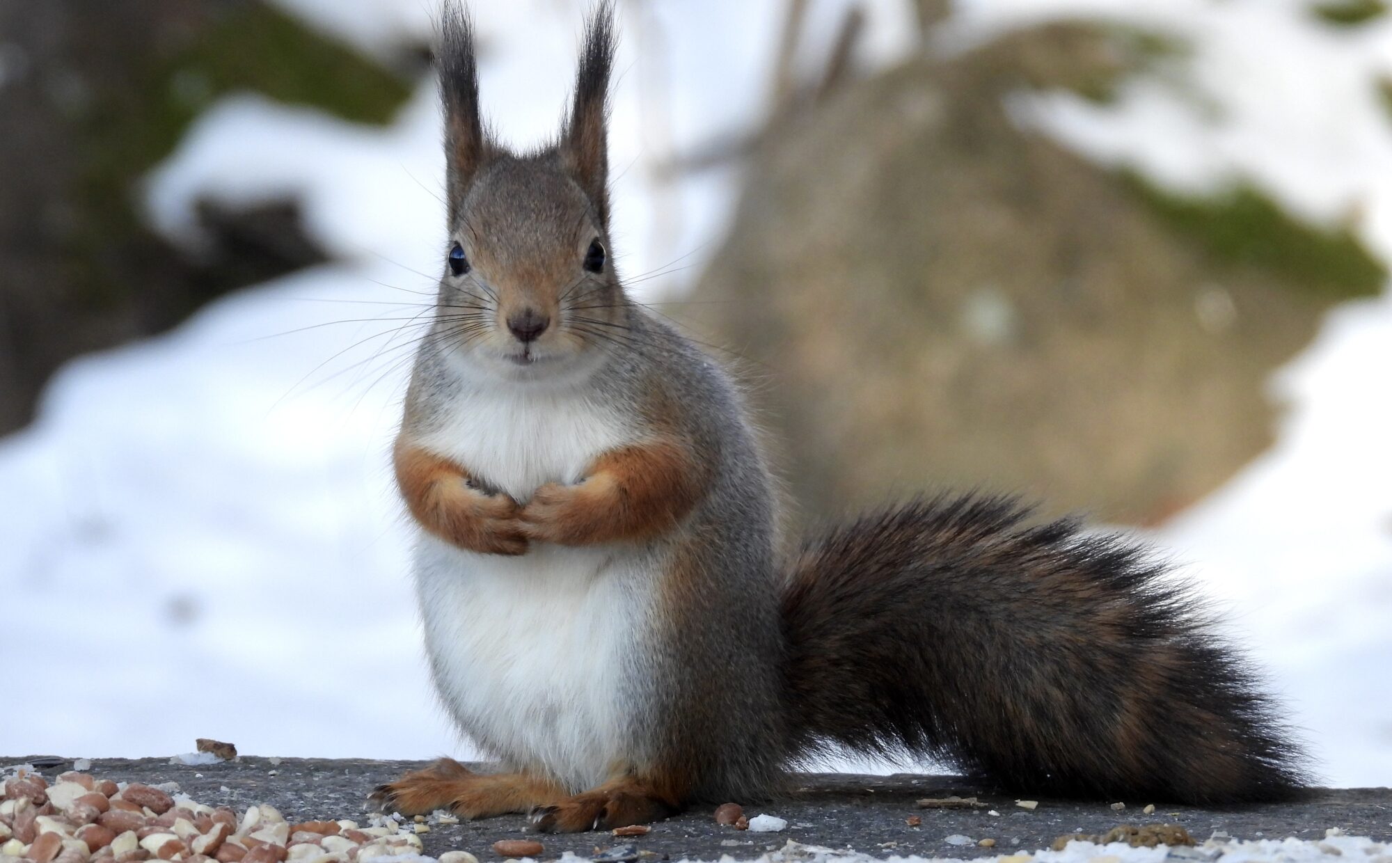 Valokuvaaja: Juhani Peltonen