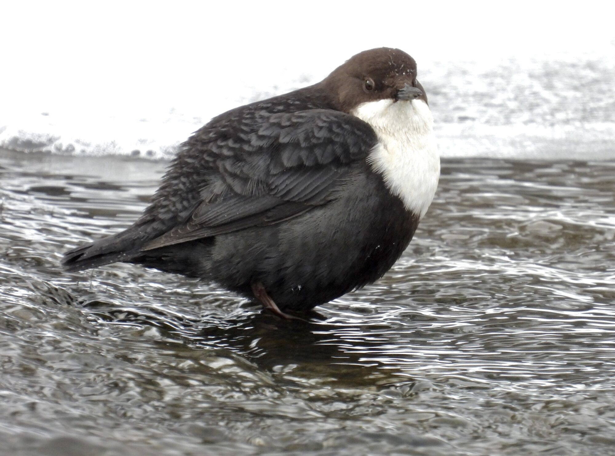 Valokuvaaja: Juhani Peltonen