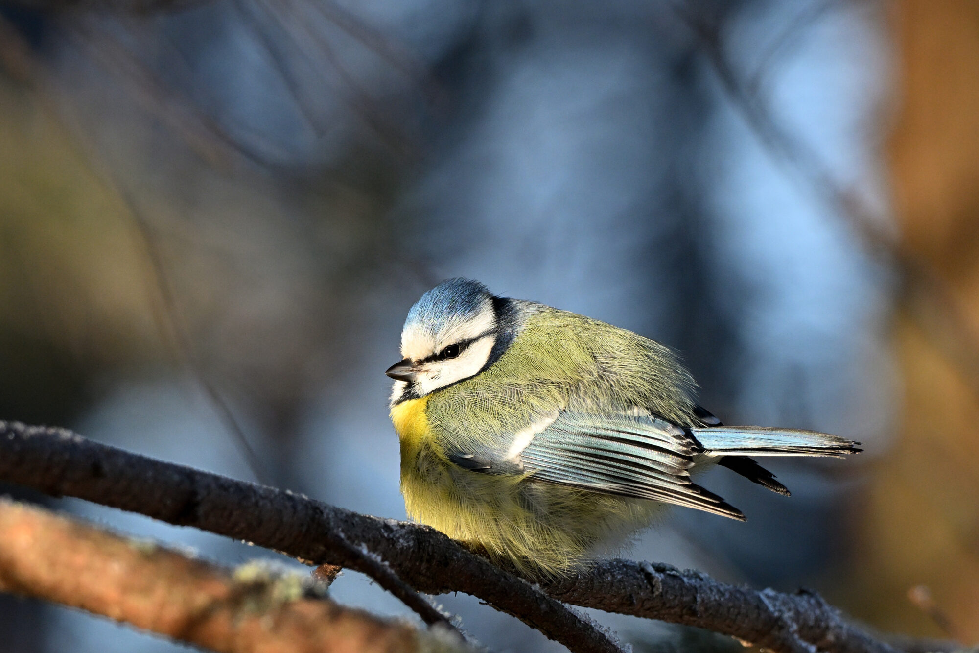 Valokuvaaja: Asko Heikkinen
