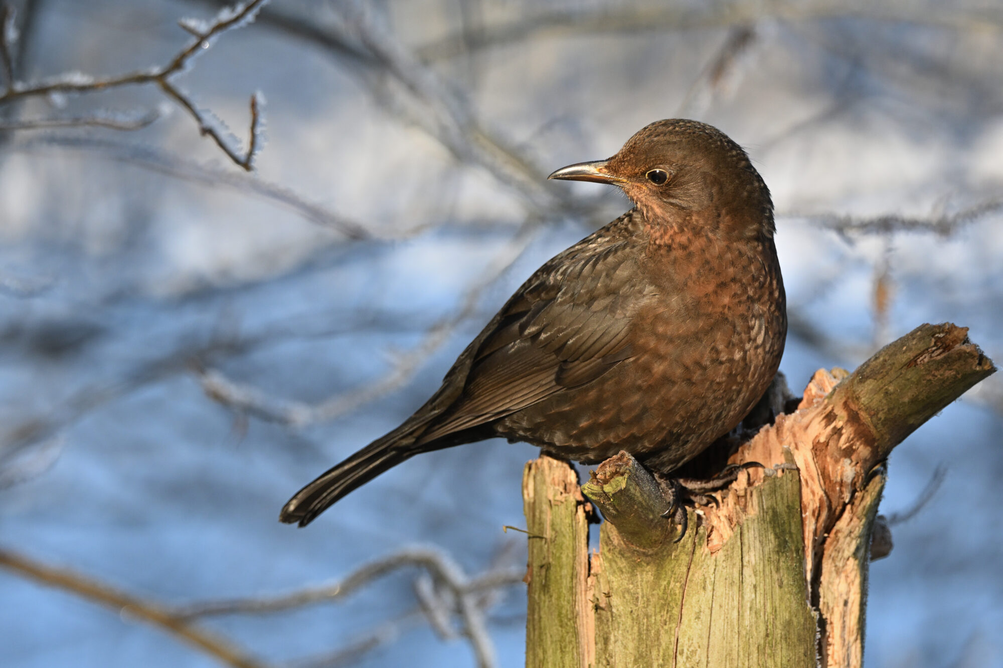 Valokuvaaja: Asko Heikkinen