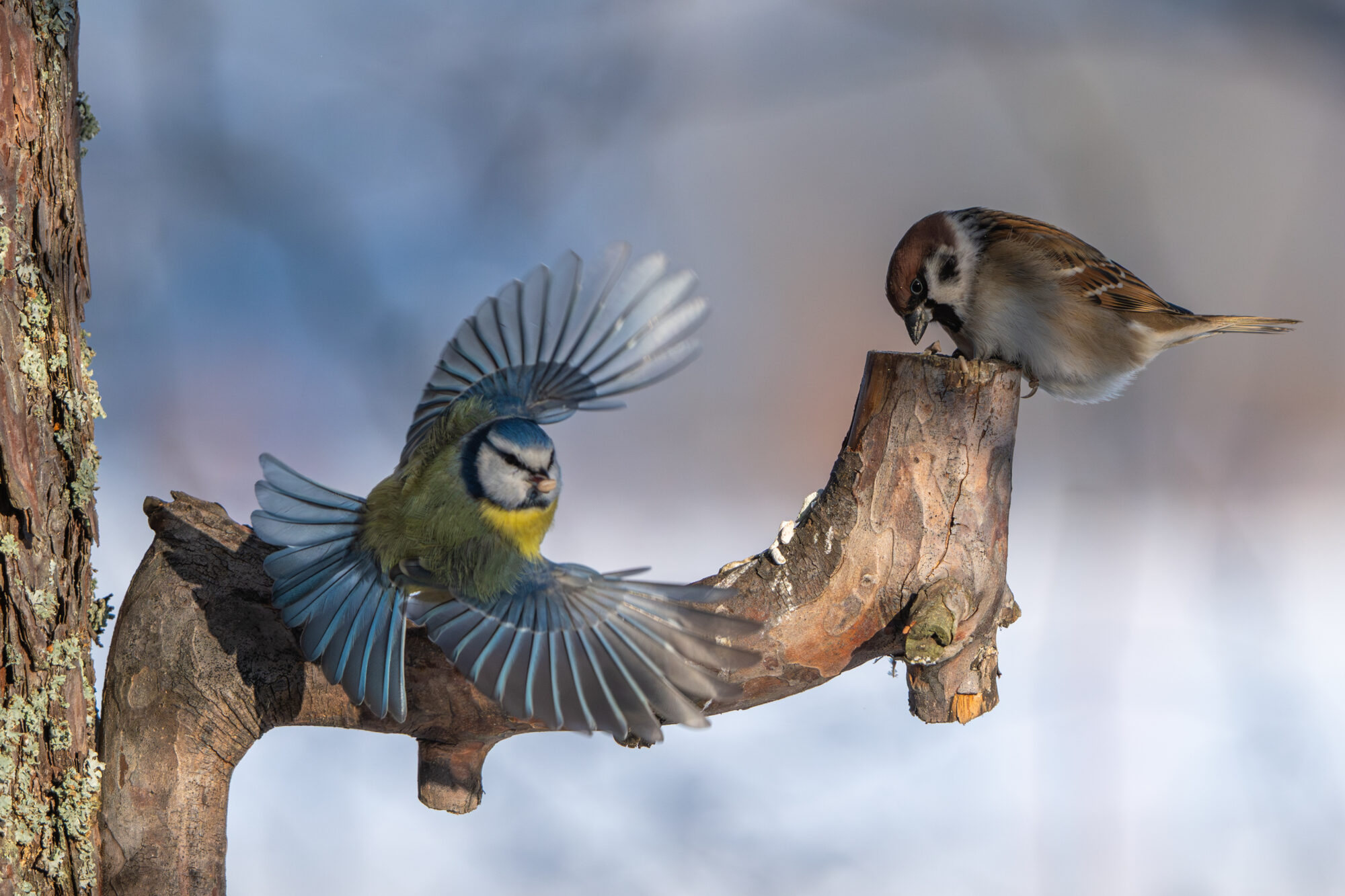 Valokuvaaja: Markku Saarinen