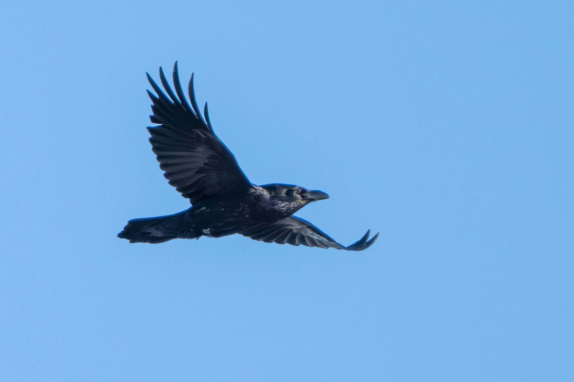 Valokuvaaja: Markku Saarinen