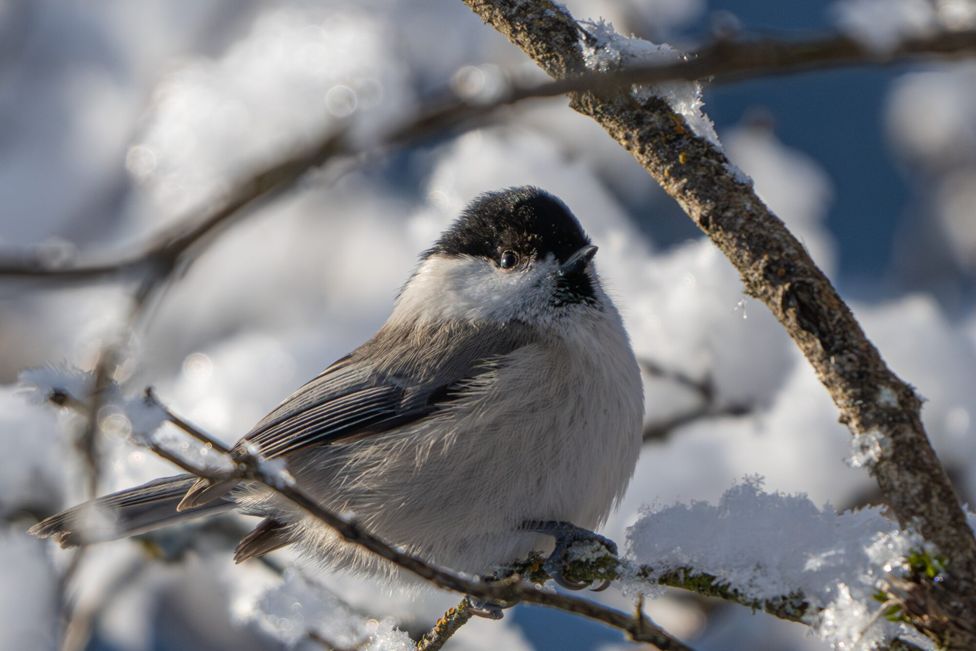 Valokuvaaja: Markku Saarinen