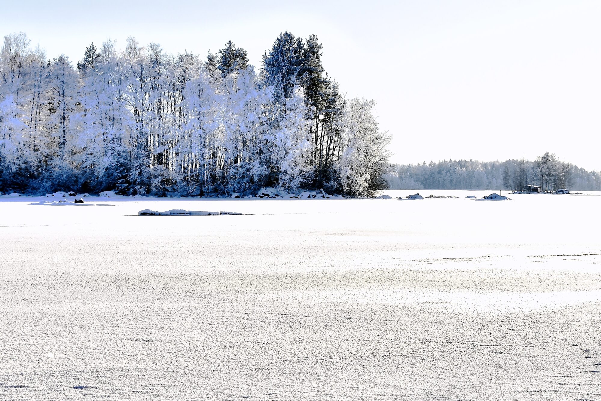 Valokuvaaja: Lasse Rokka