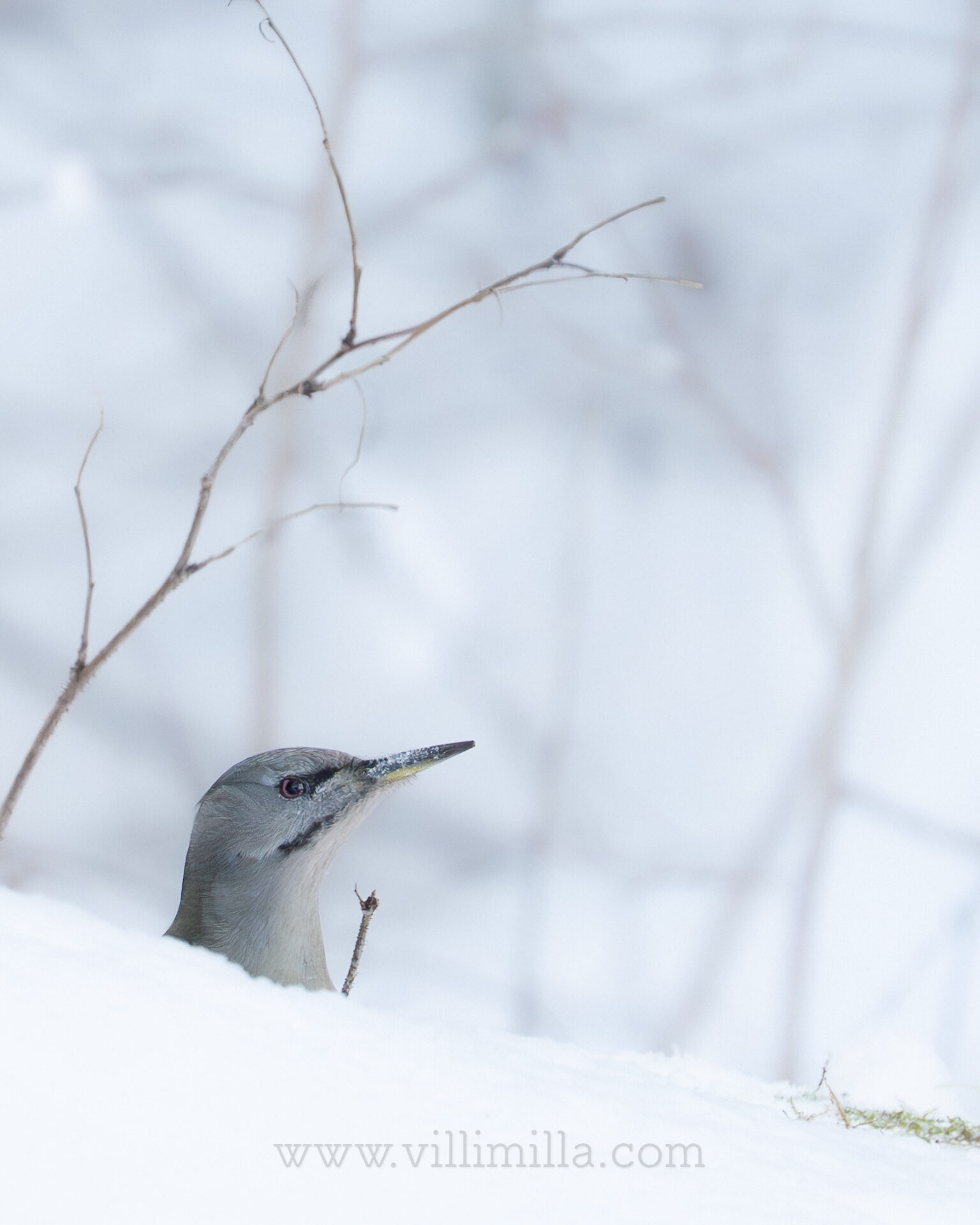 Valokuvaaja: Milla Rannila