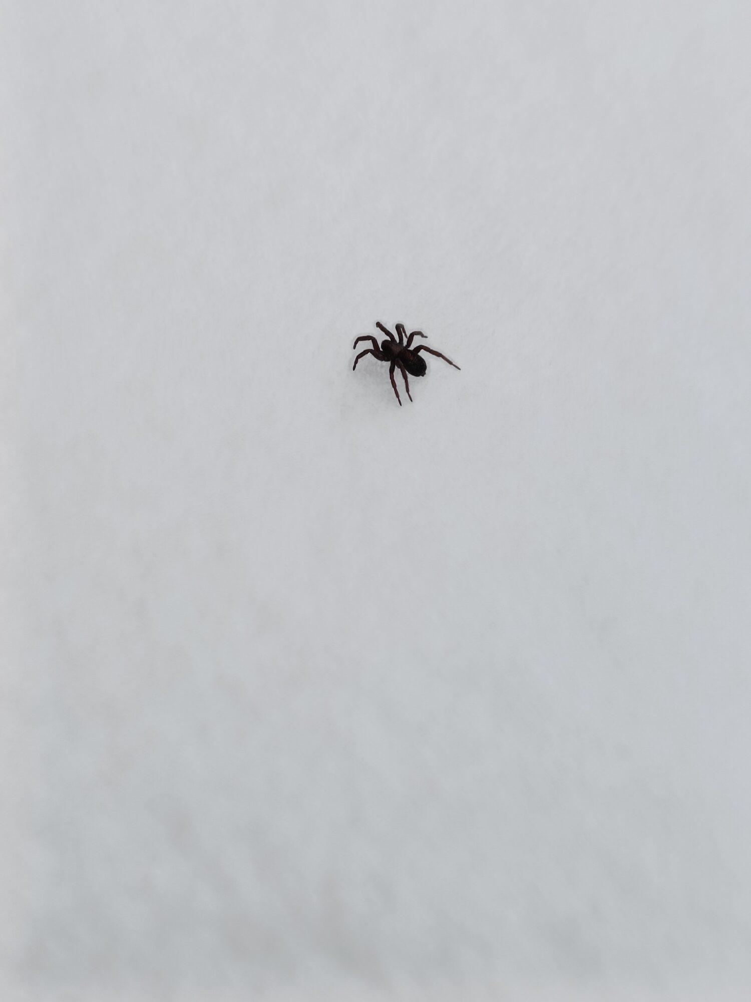 Valokuvaaja: Susan Karhunen