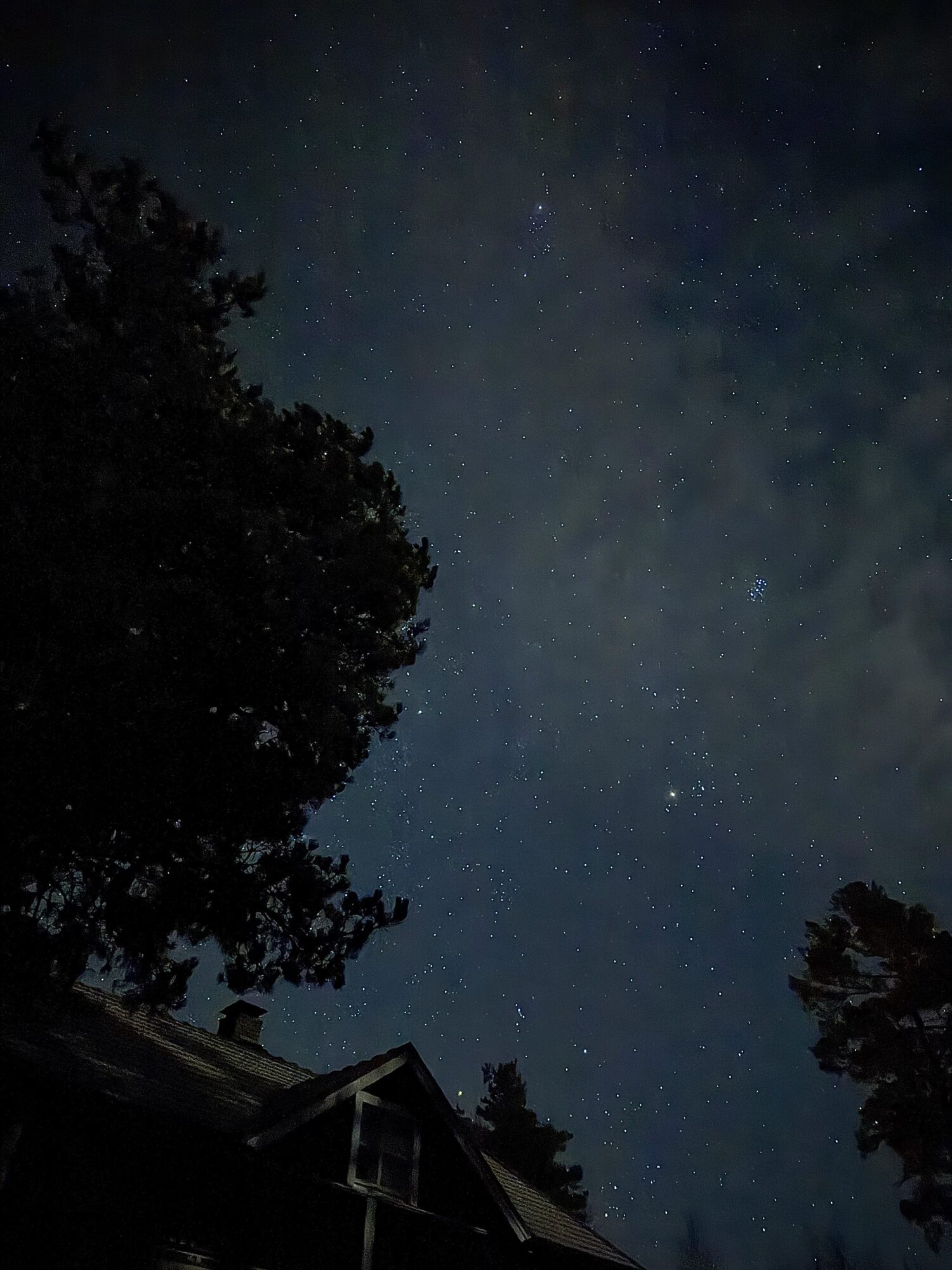 Valokuvaaja: Katri Kallio