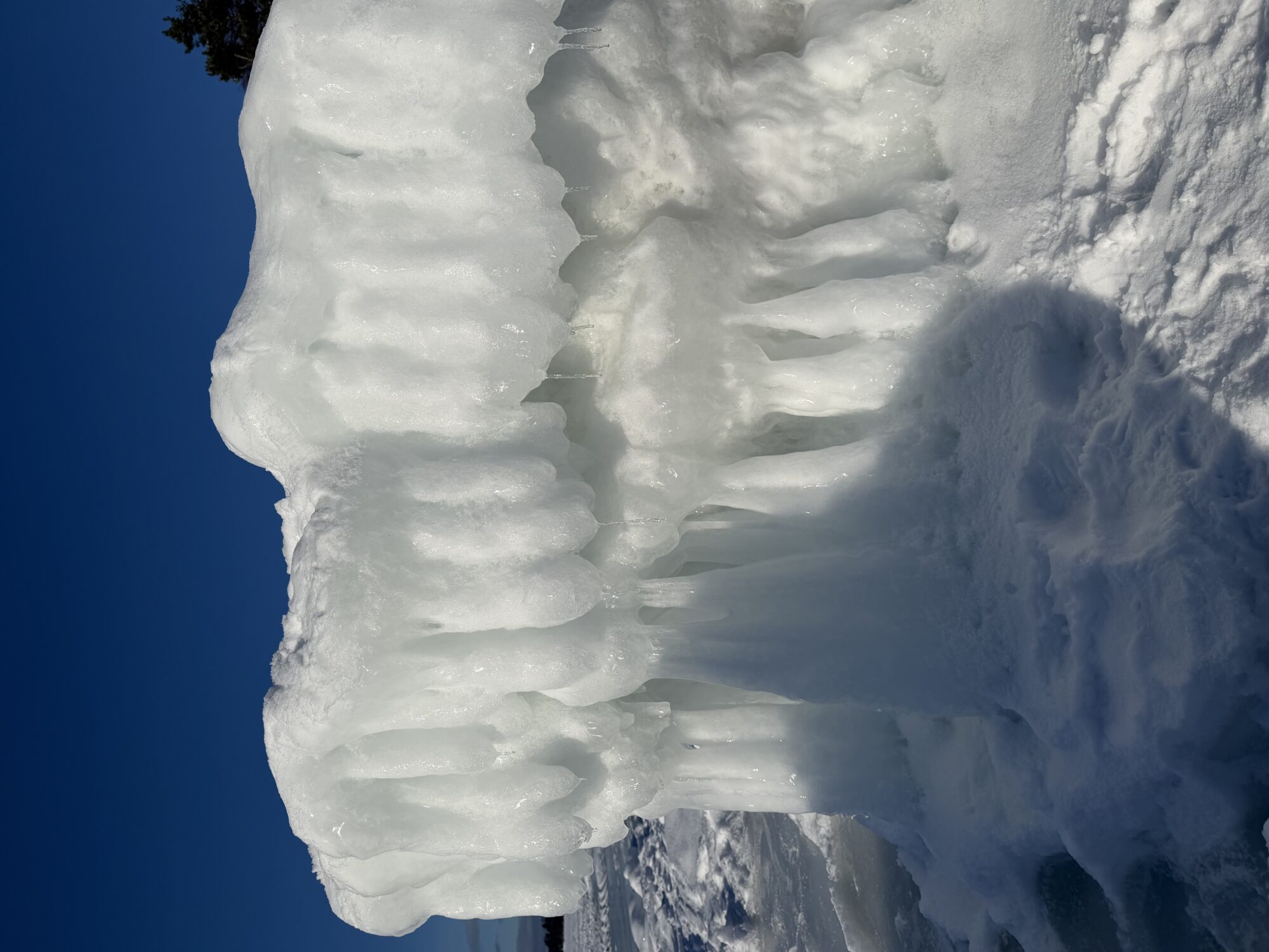 Valokuvaaja: Katri Kallio