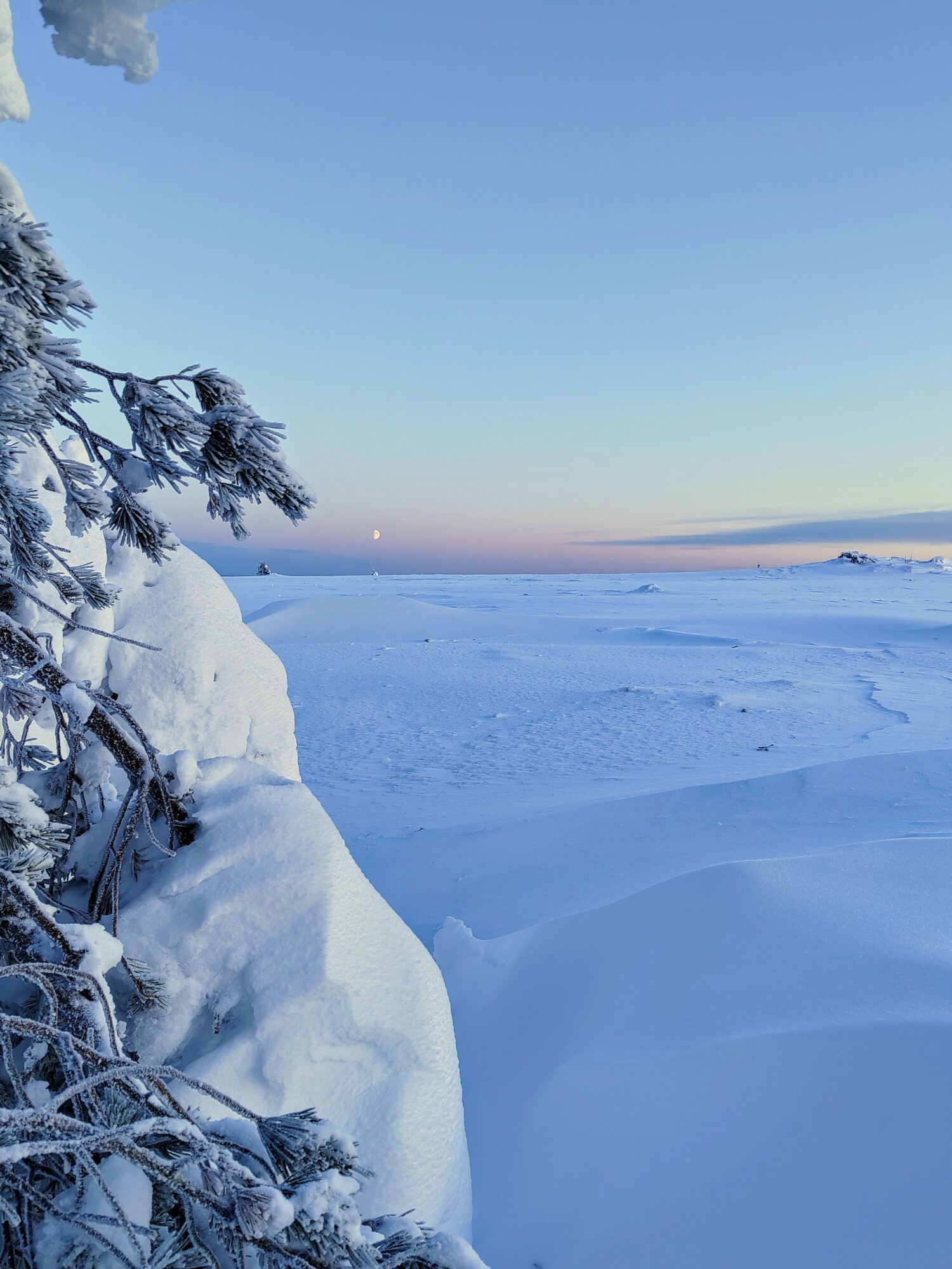 Valokuvaaja: Maria Hirvonen