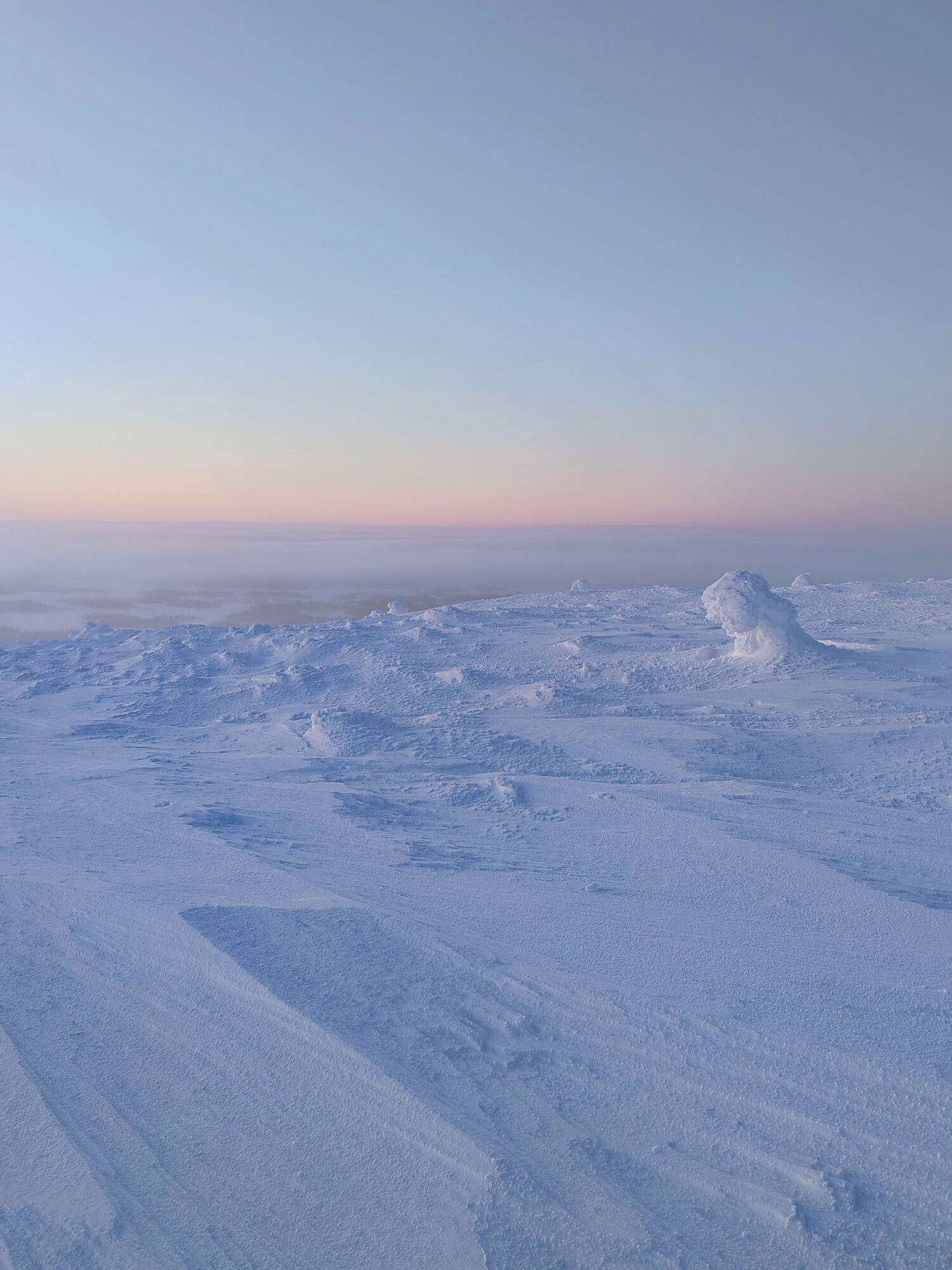 Valokuvaaja: Maria Hirvonen