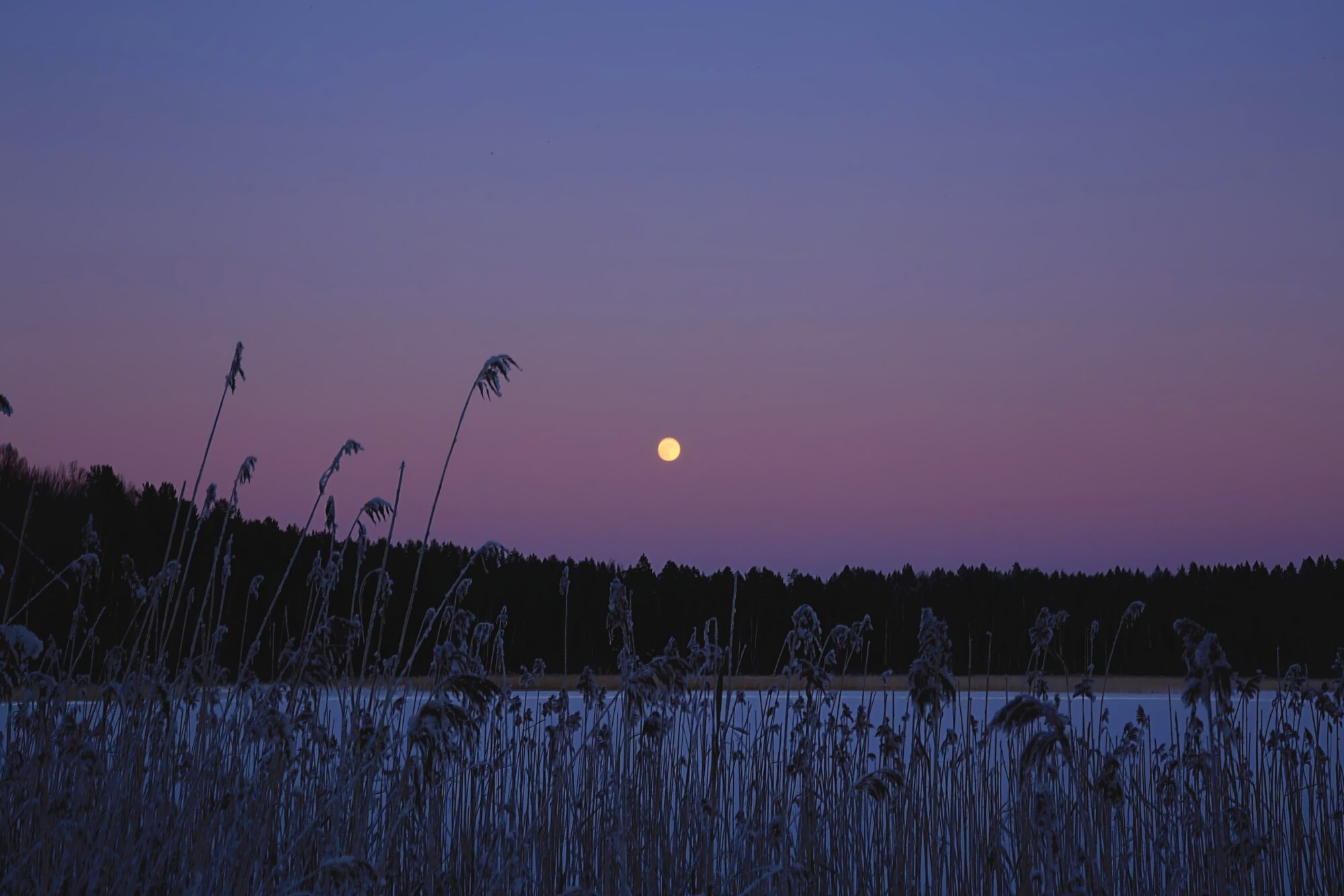 Valokuvaaja: Minni Ahonen