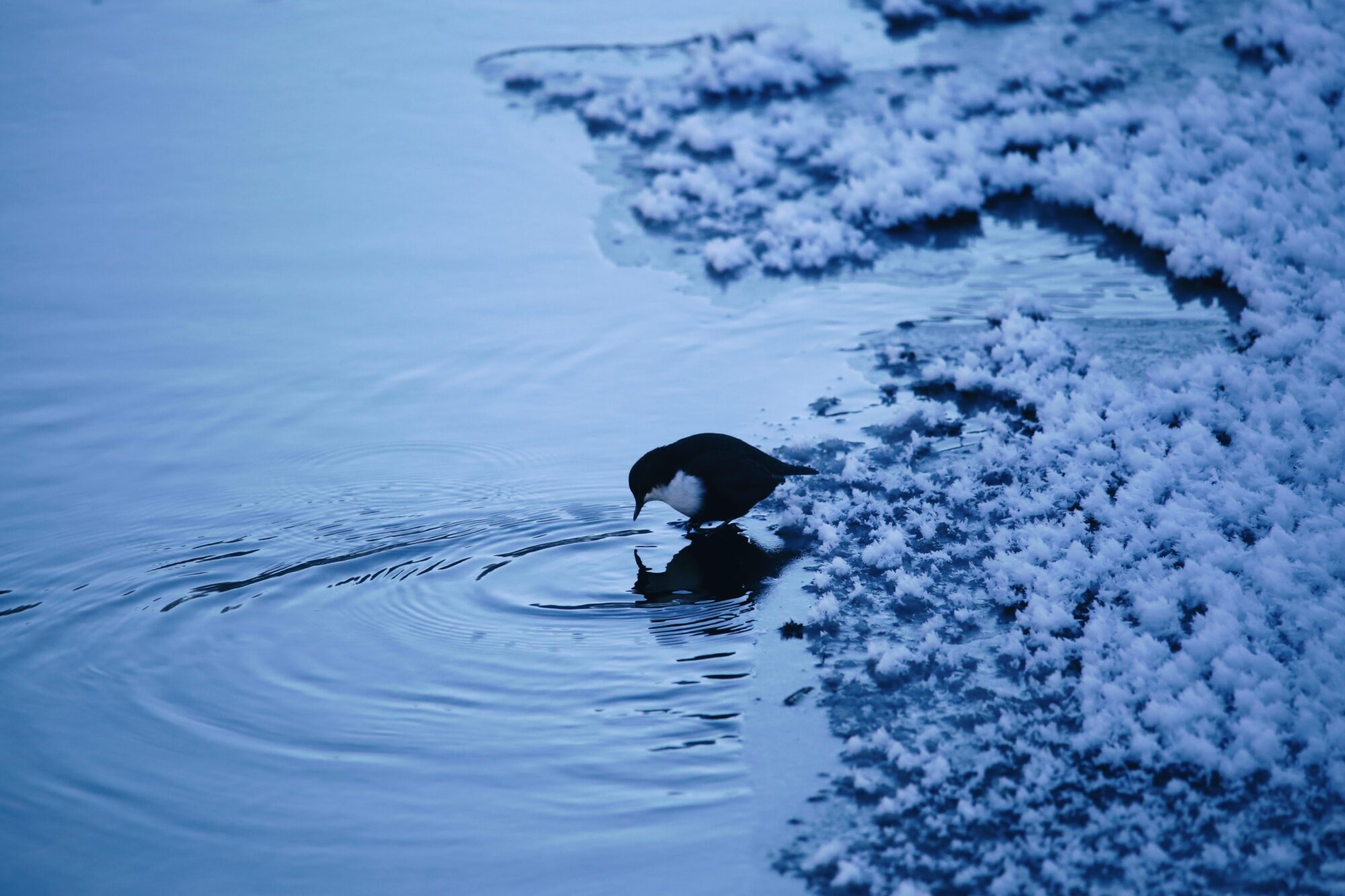 Valokuvaaja: Maija Mehto