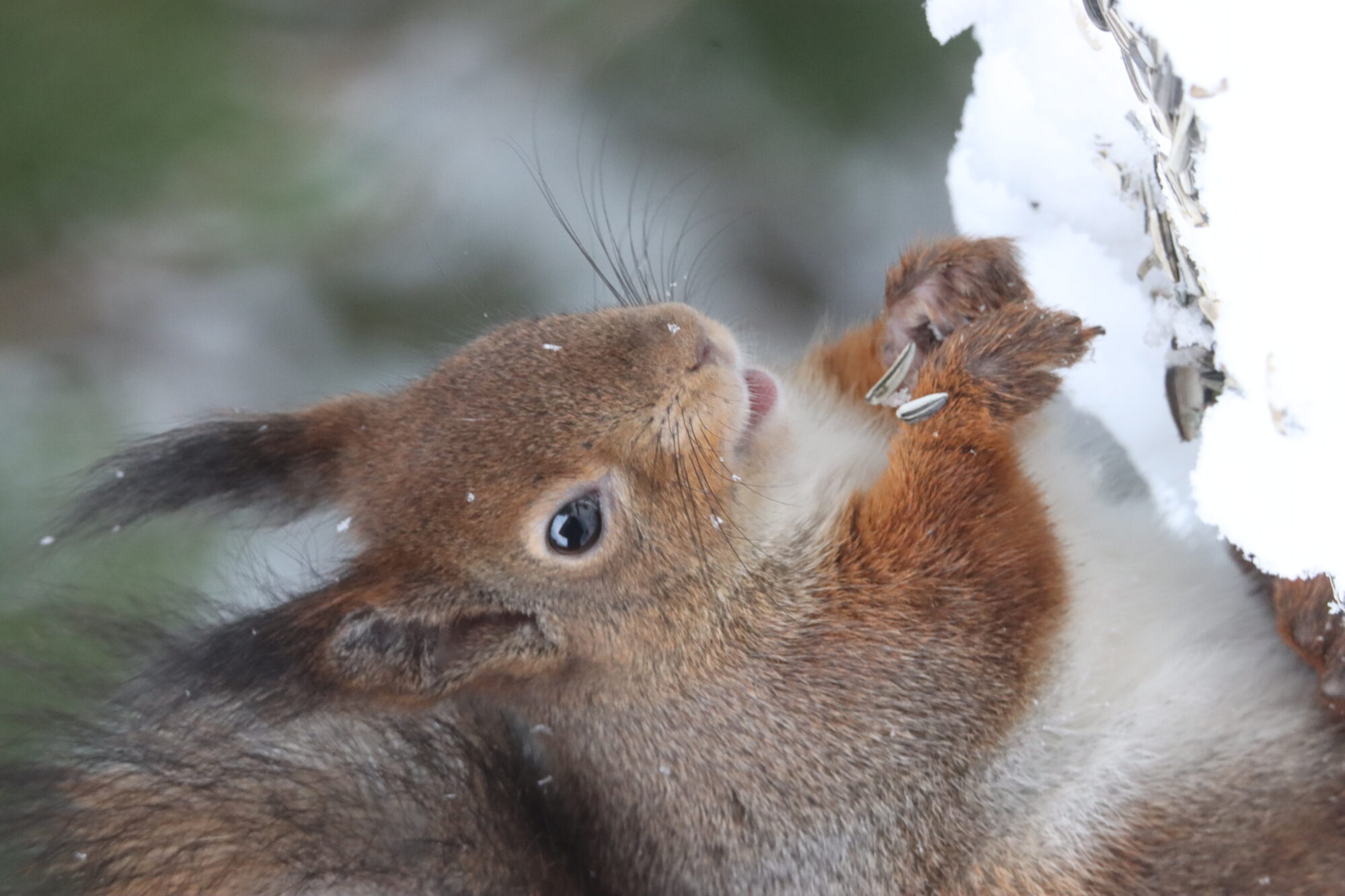 Valokuvaaja: Irja Lehtinen