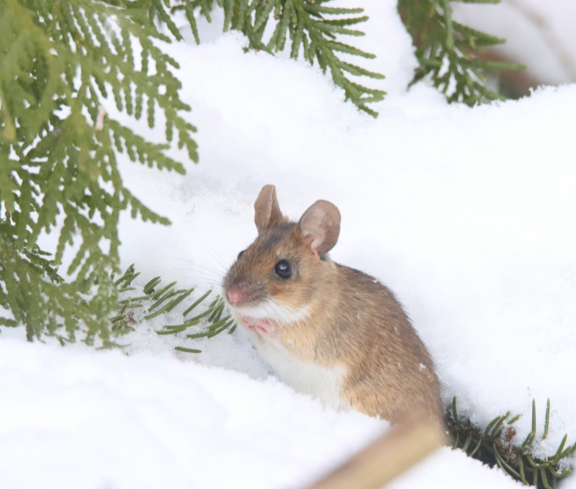 Valokuvaaja: Irja Lehtinen