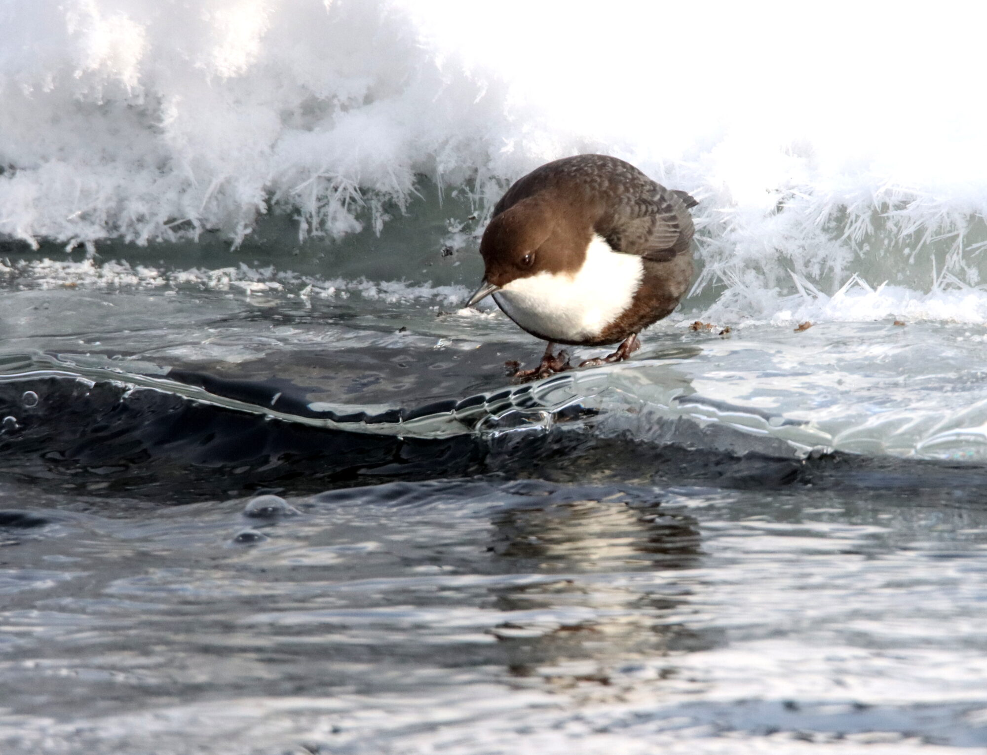 Valokuvaaja: Irja Lehtinen