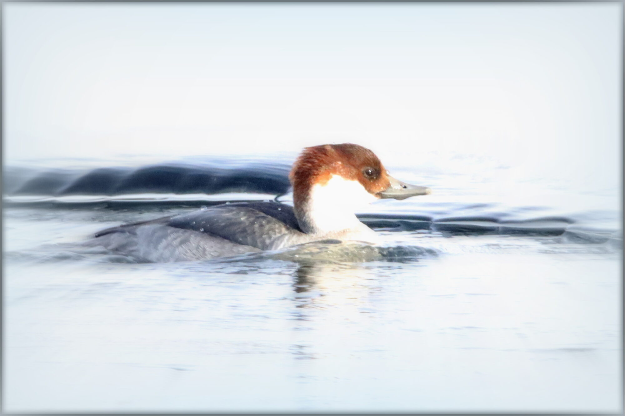 Valokuvaaja: Irja Lehtinen