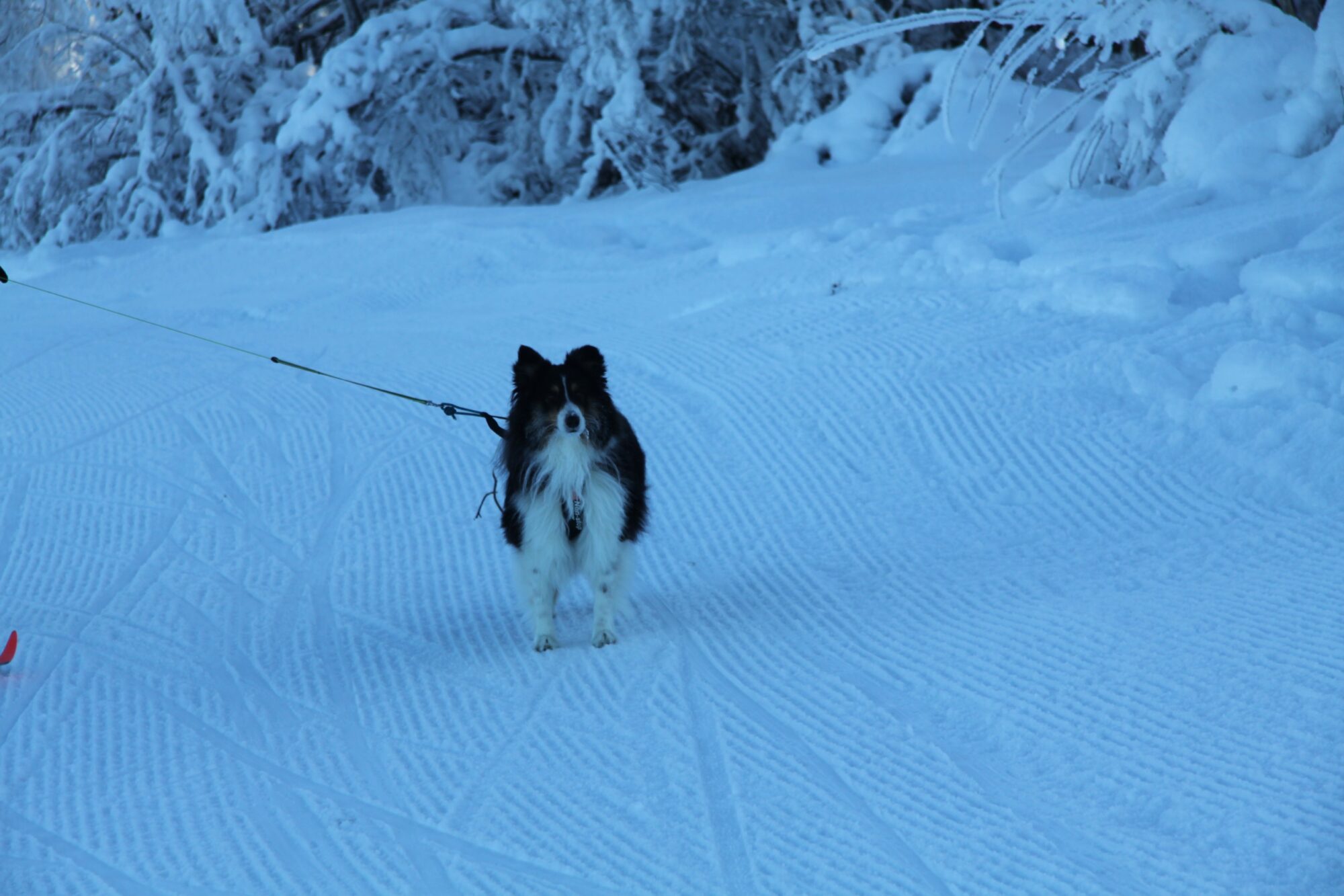 Valokuvaaja: Pirkko Siukonen