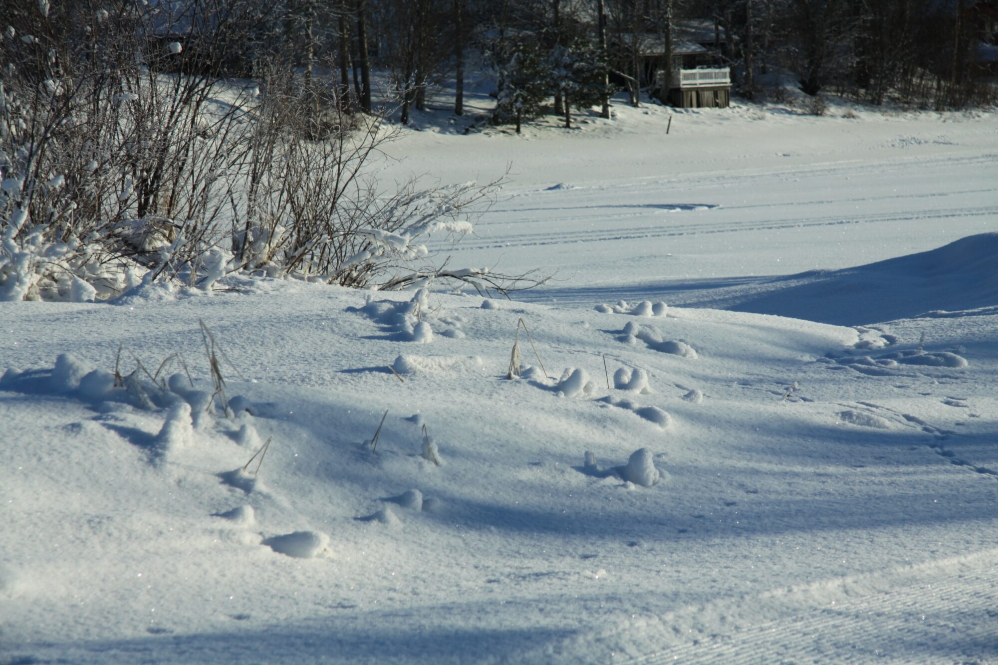 Valokuvaaja: Pirkko Siukonen