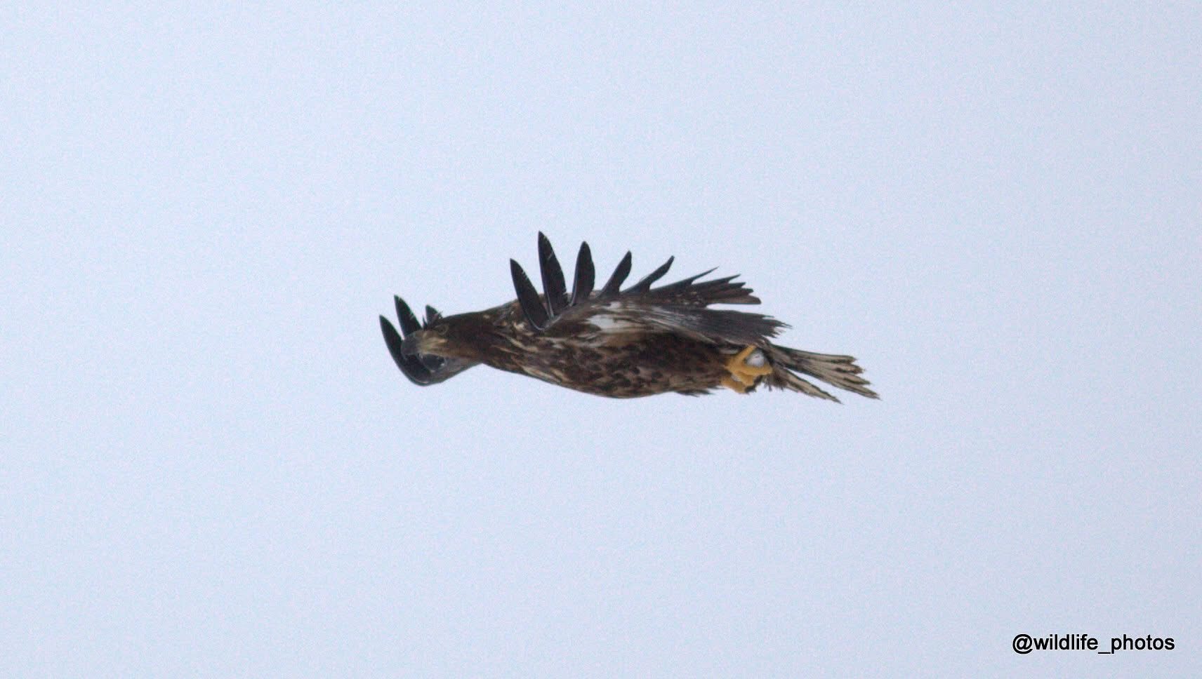 Valokuvaaja: tapio keinonen