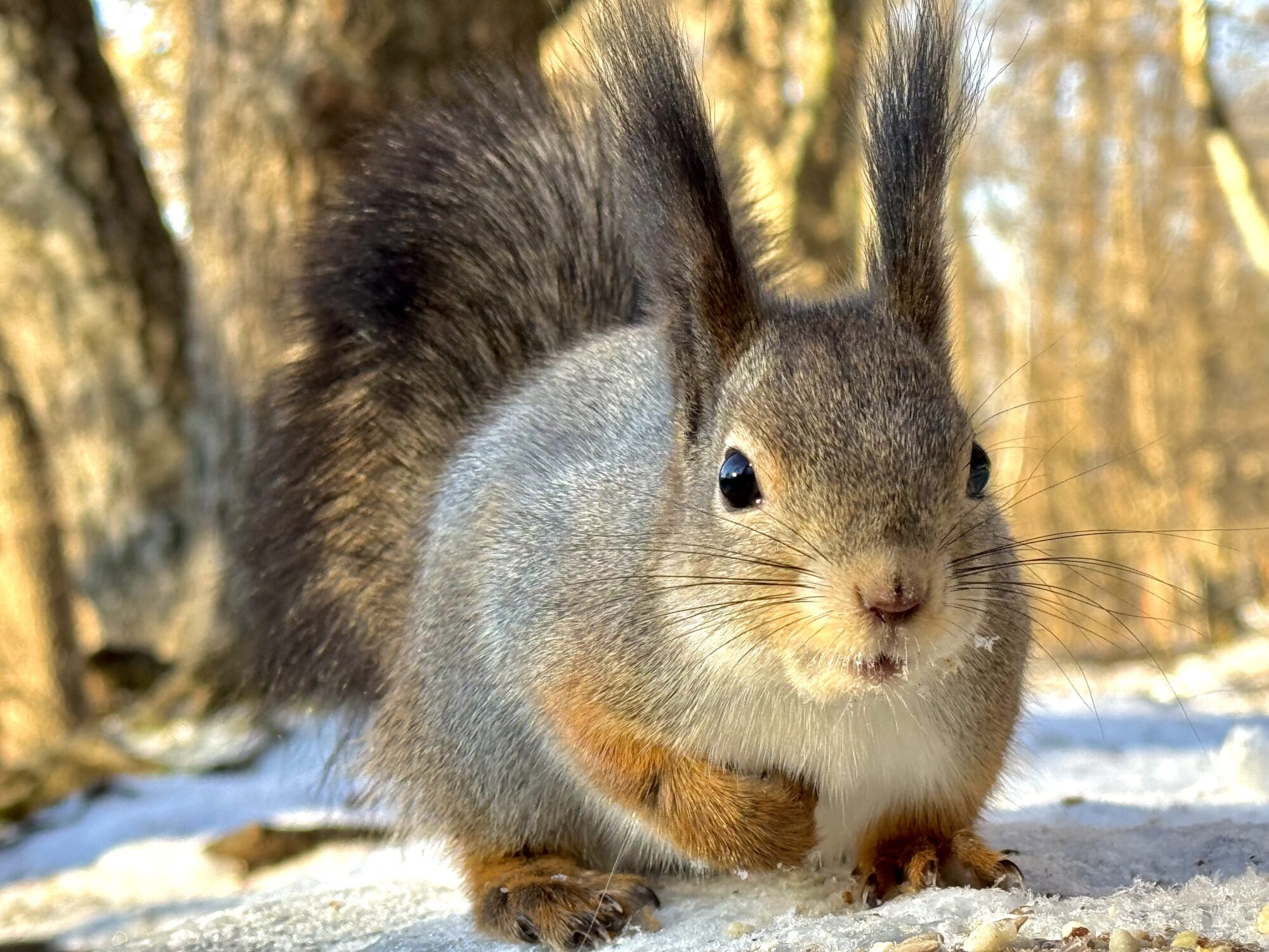 Valokuvaaja: Juhani Peltonen