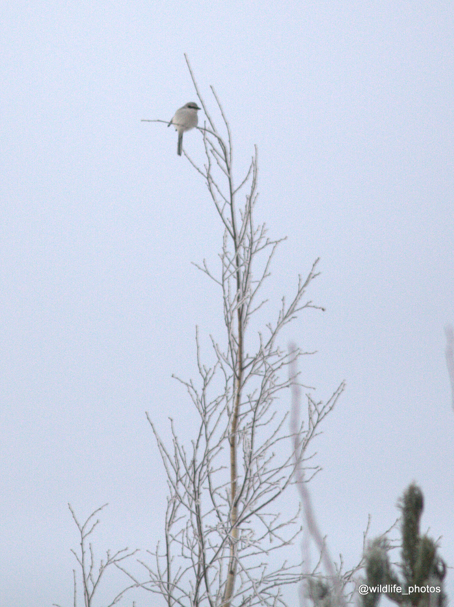 Valokuvaaja: tapio keinonen