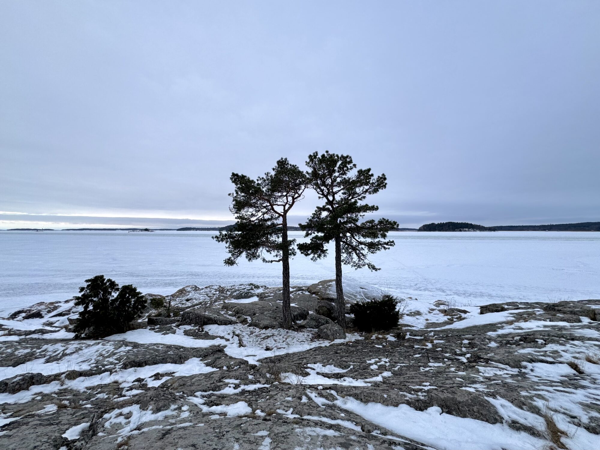 Valokuvaaja: Juhani Peltonen