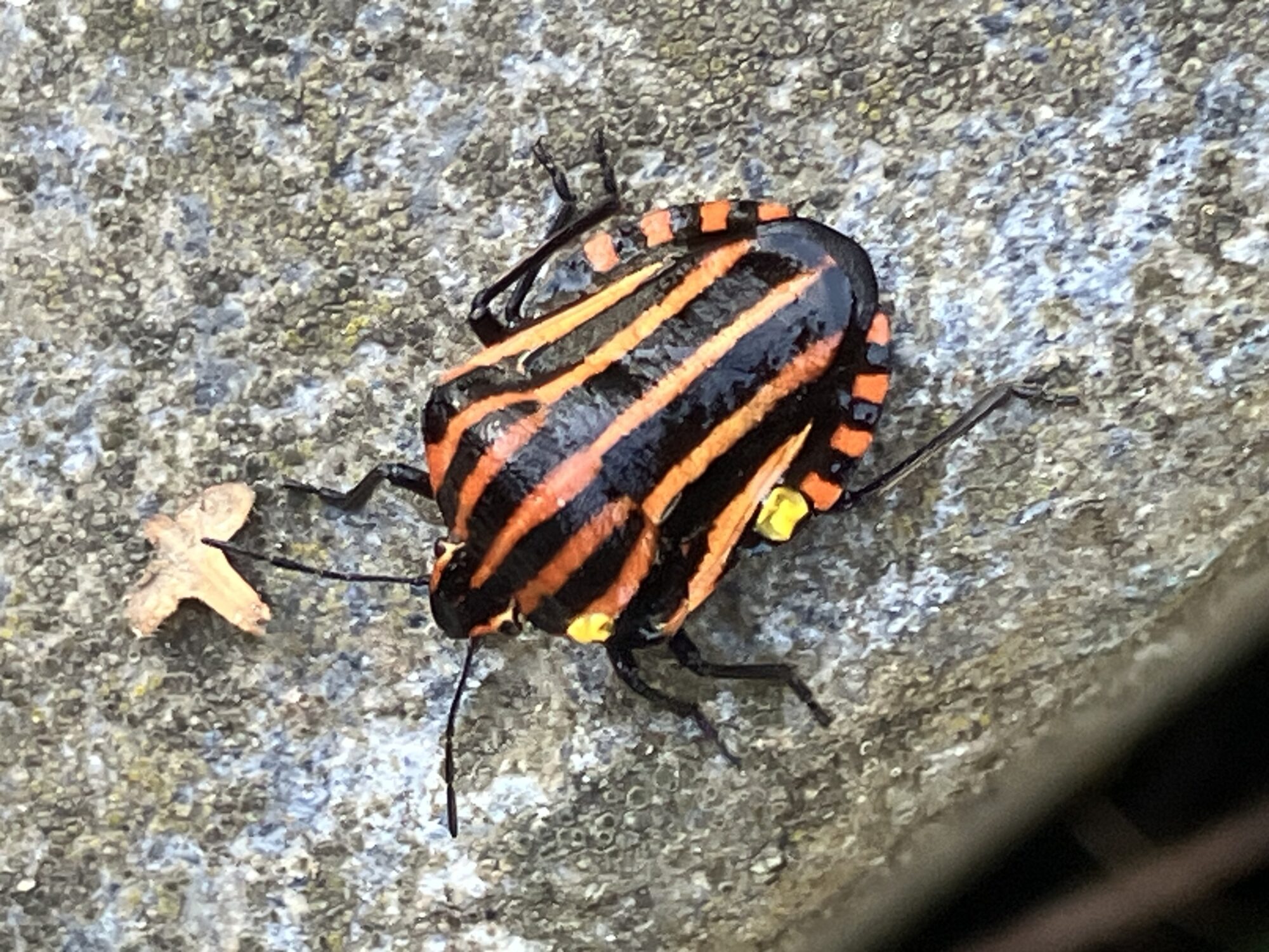 Valokuvaaja: Leila Tanskanen