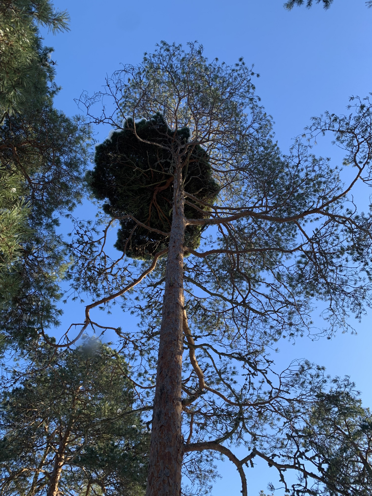 Valokuvaaja: Terho Olkinuora