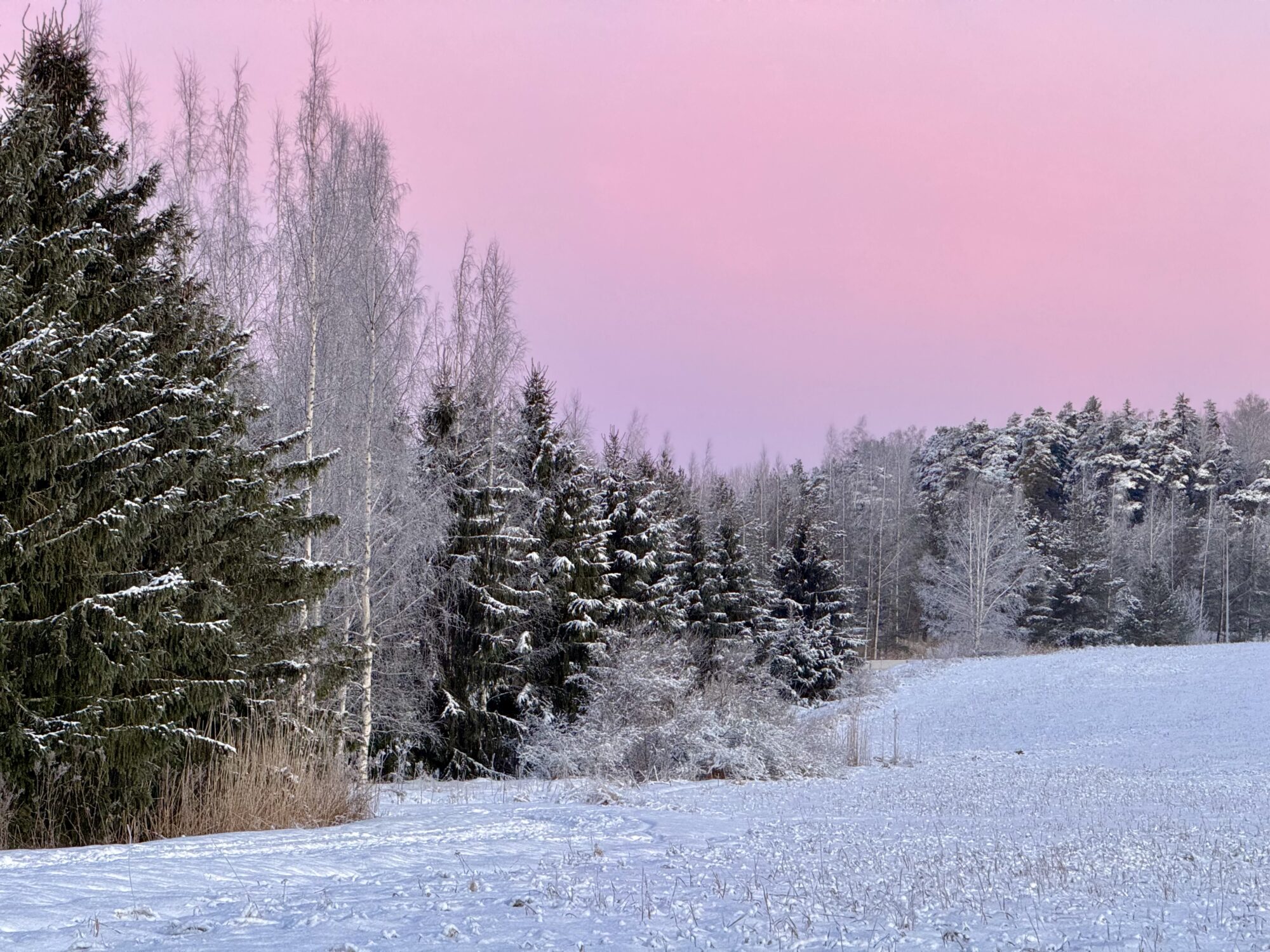 Valokuvaaja: Juhani Peltonen