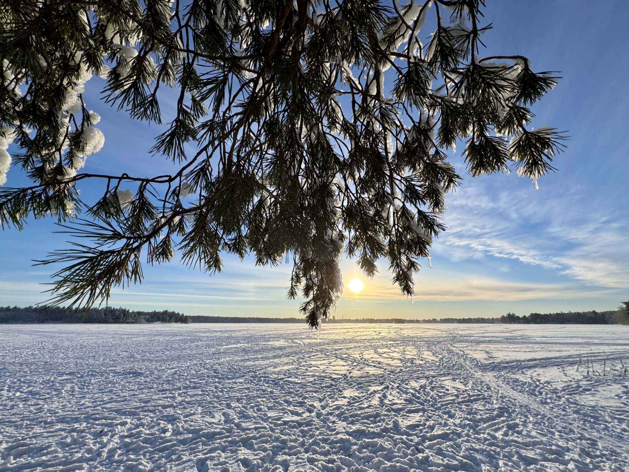Valokuvaaja: Juhani Peltonen