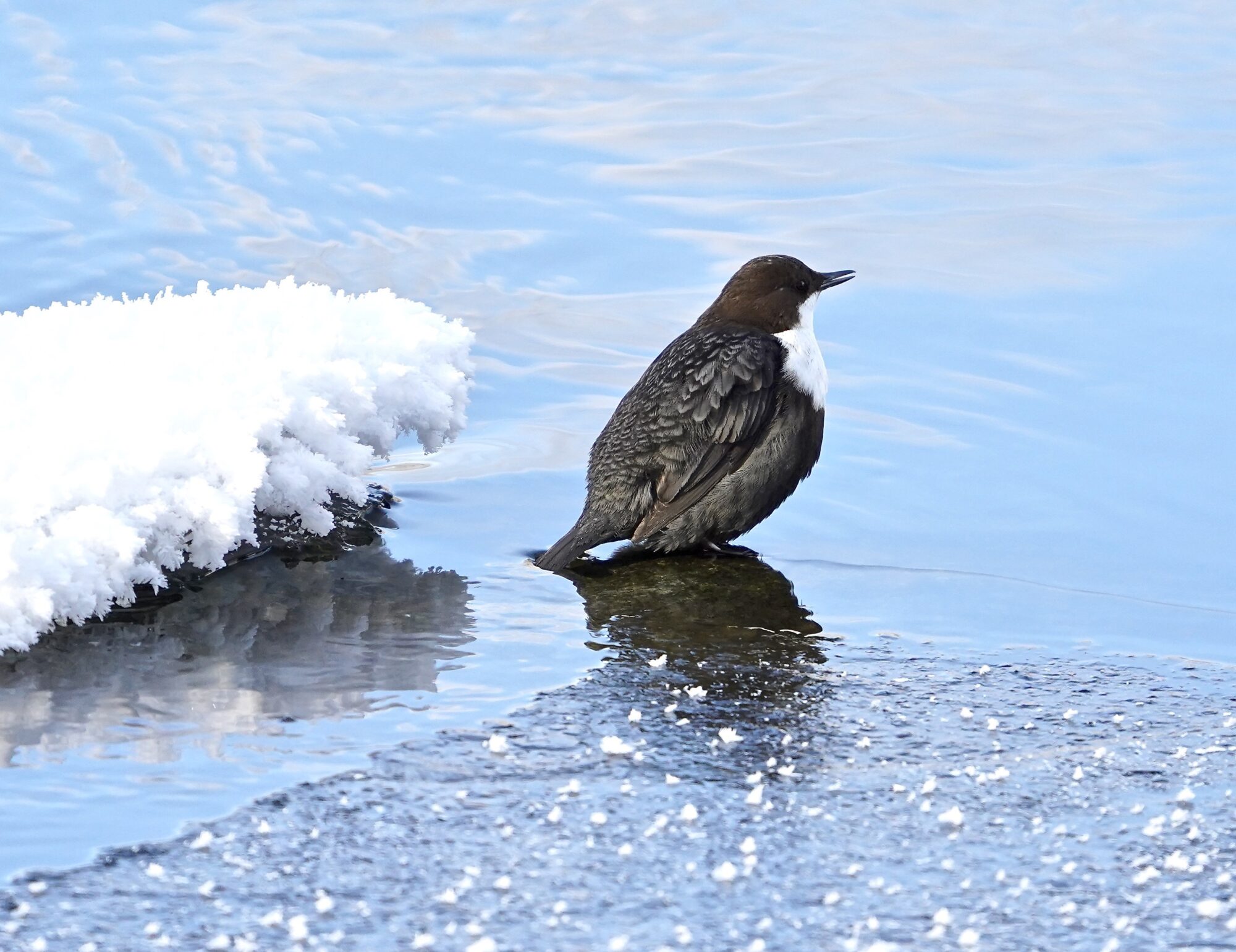 Valokuvaaja: Markku Ranta-Eilola