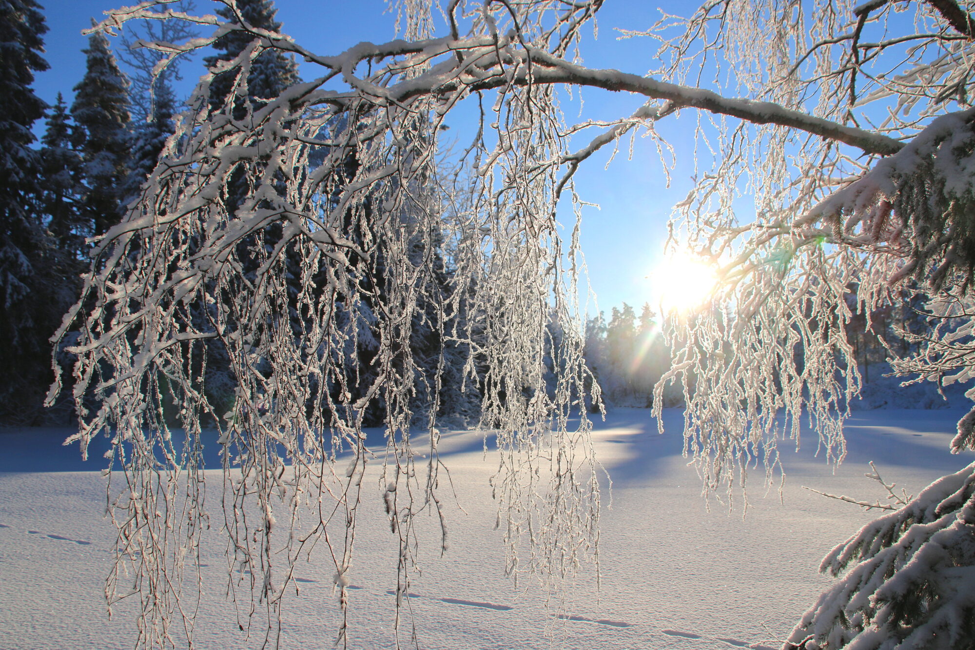 Valokuvaaja: Tuukka Pahtamaa