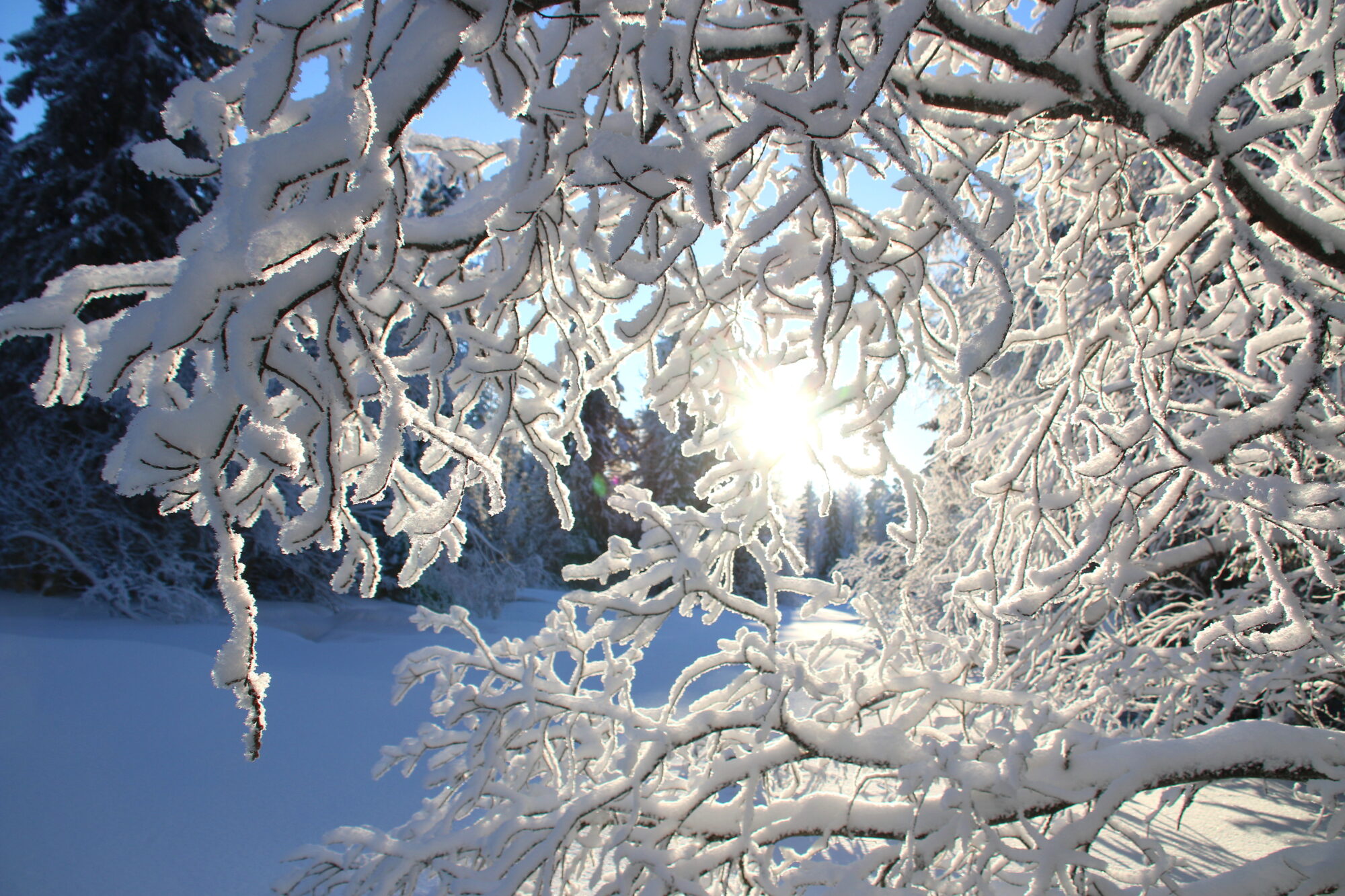 Valokuvaaja: Tuukka Pahtamaa