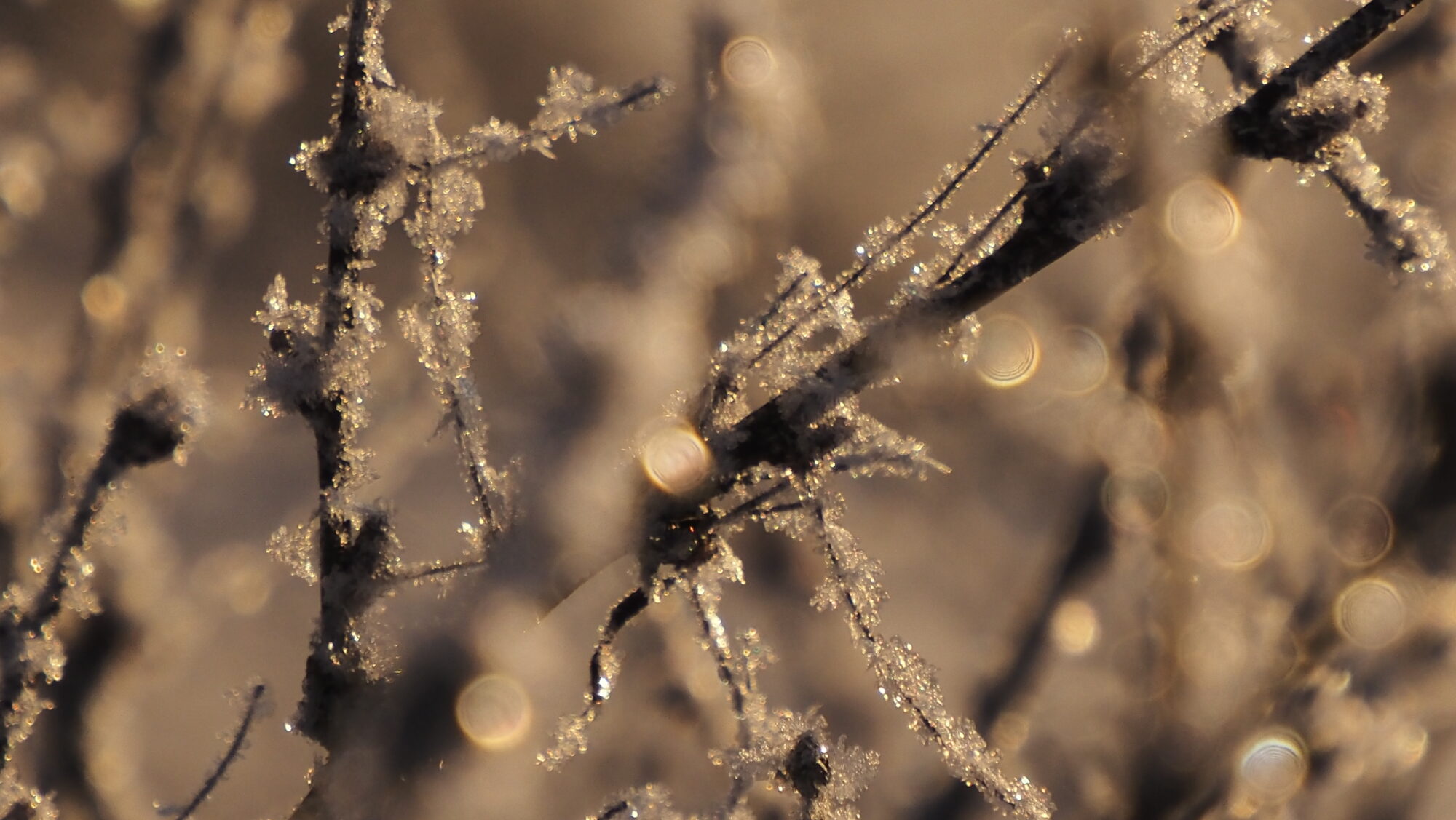 Valokuvaaja: Arja Valtonen