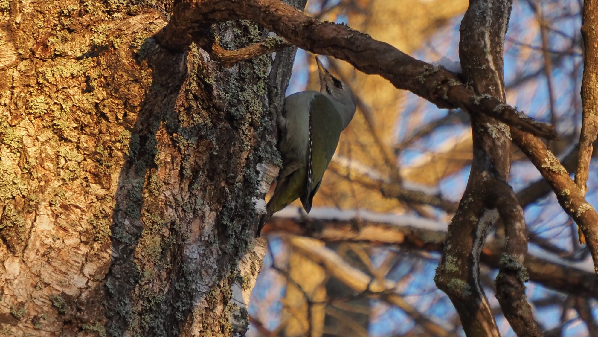 Valokuvaaja: Arja Valtonen