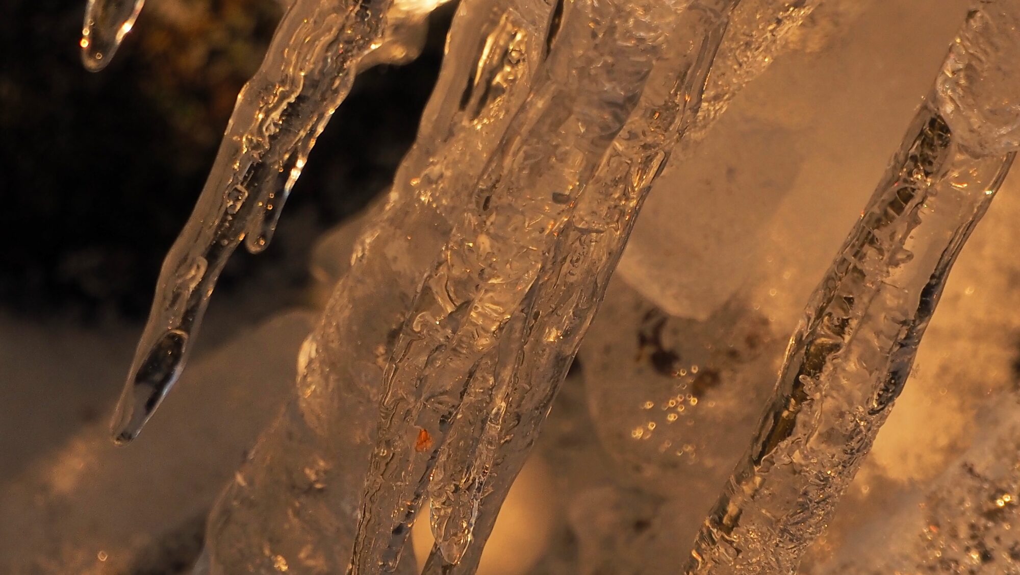 Valokuvaaja: Arja Valtonen