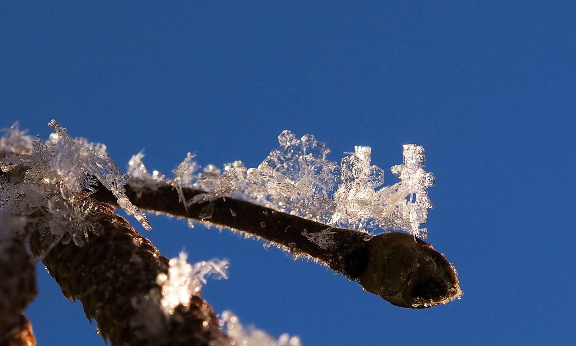 Valokuvaaja: Arja Valtonen