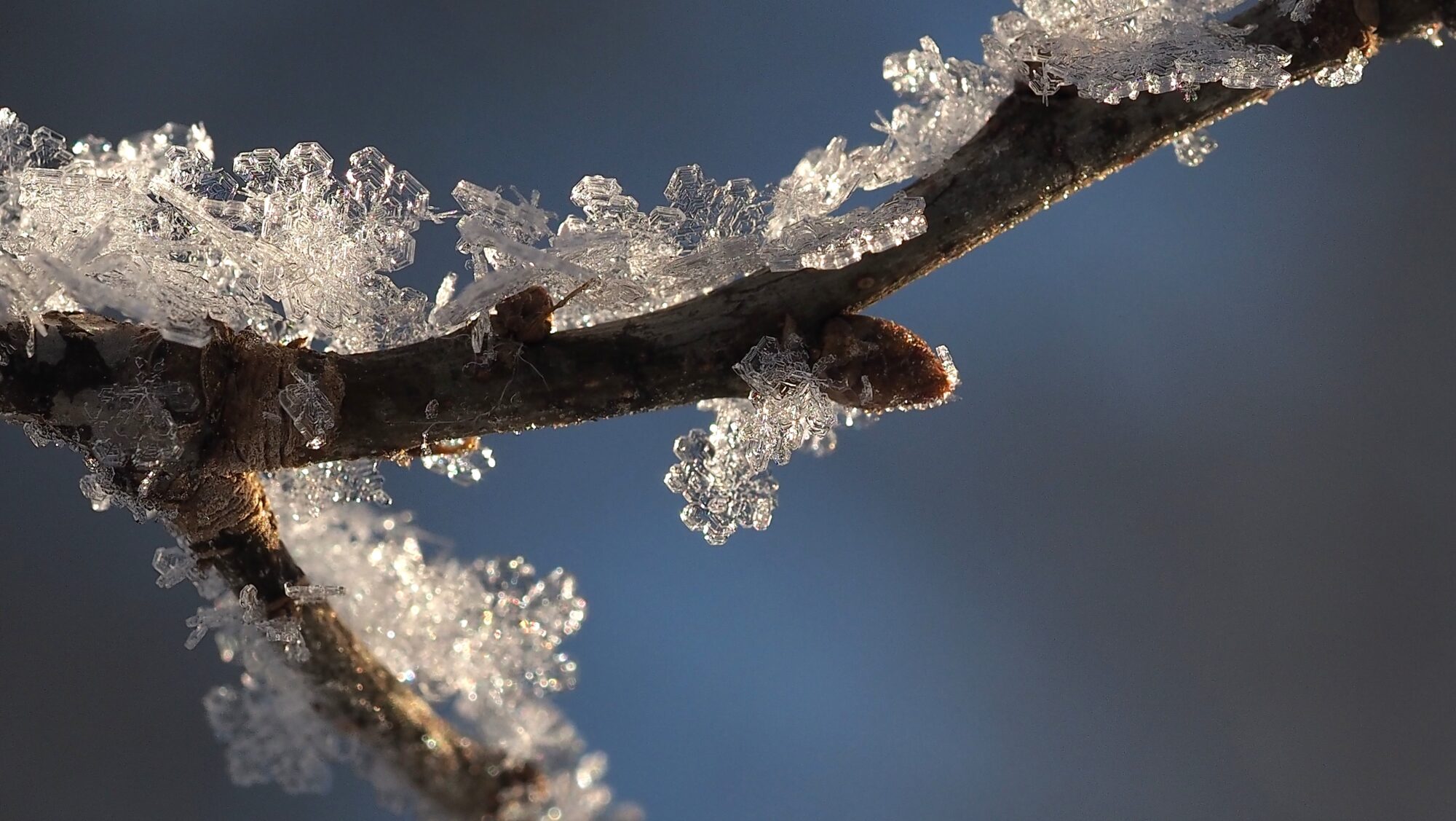 Valokuvaaja: Arja Valtonen