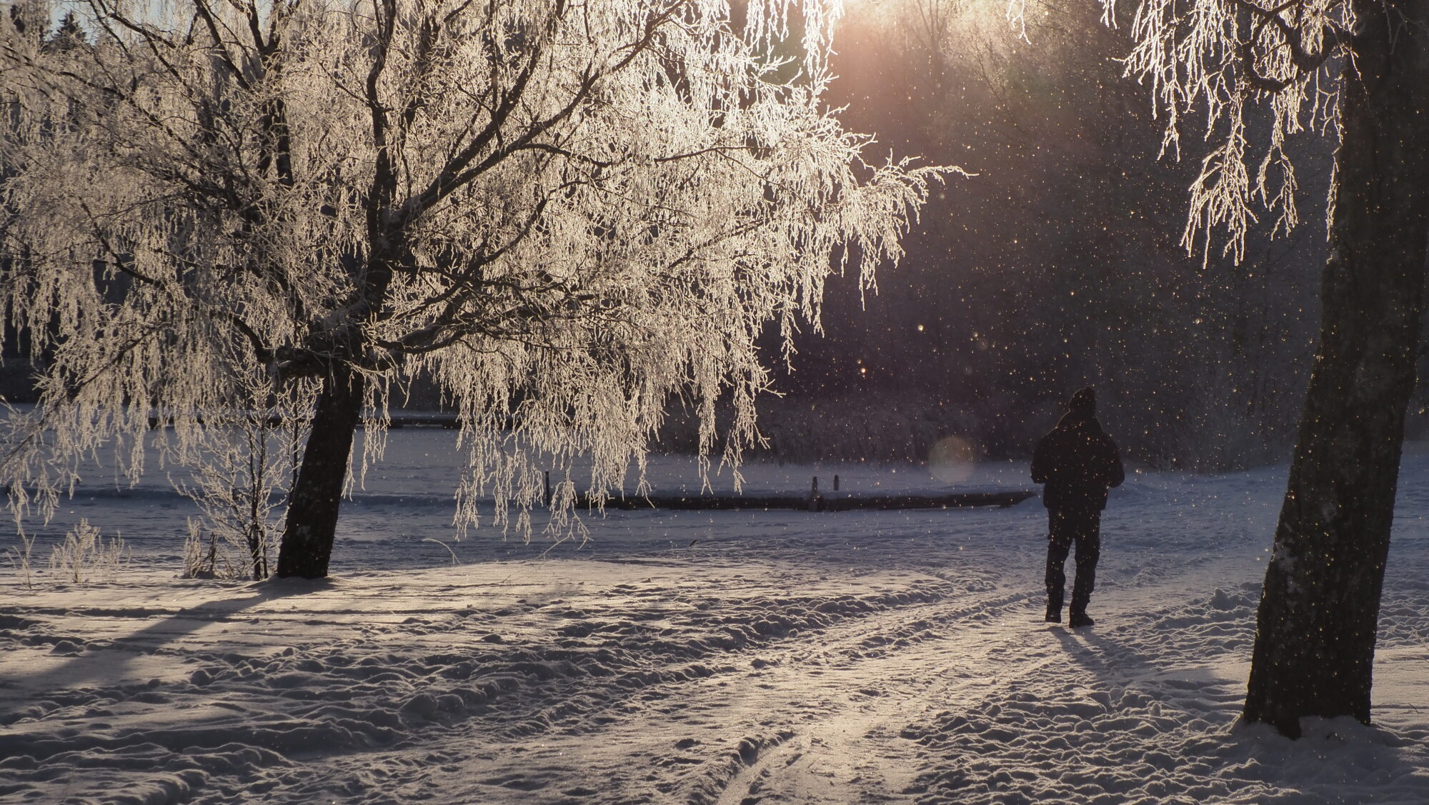 Valokuvaaja: Arja Valtonen